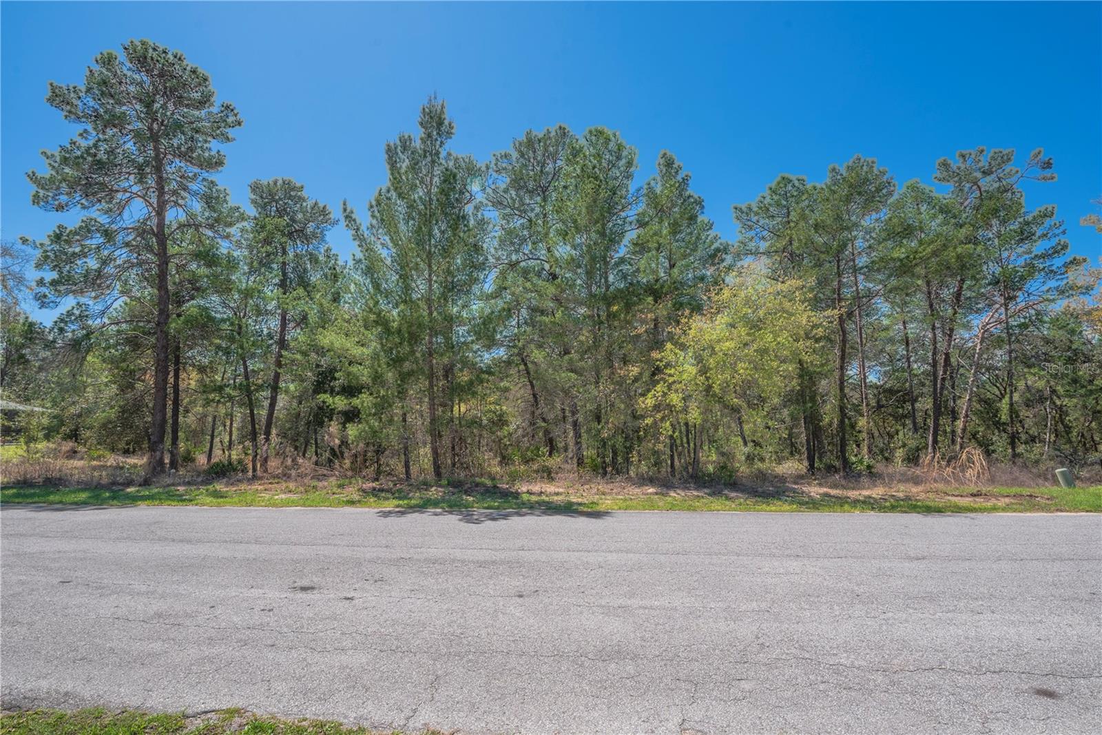 Image 8 of 13 For 8 Heuchera Court E