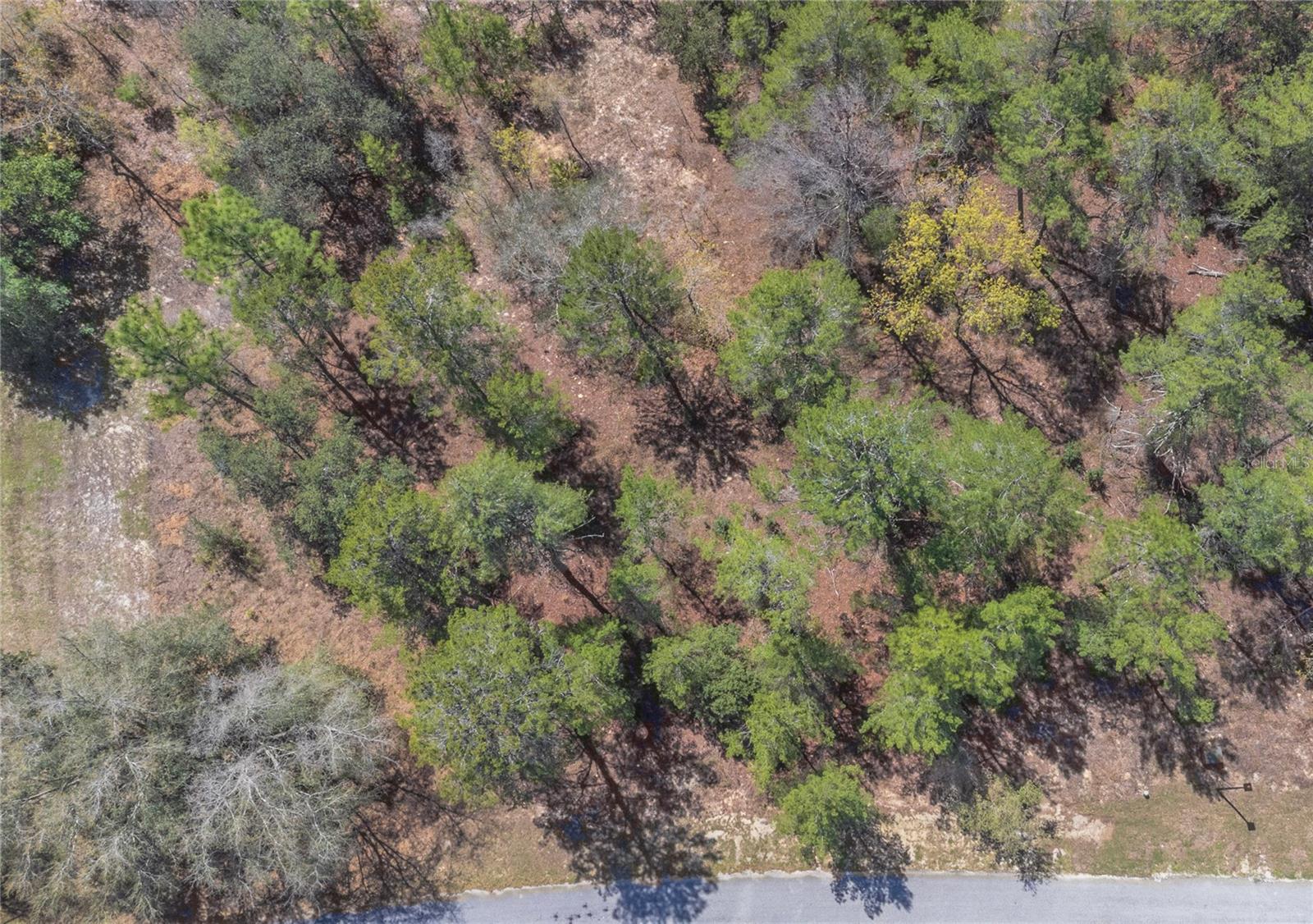 Details for 10 Heuchera Court E, HOMOSASSA, FL 34446