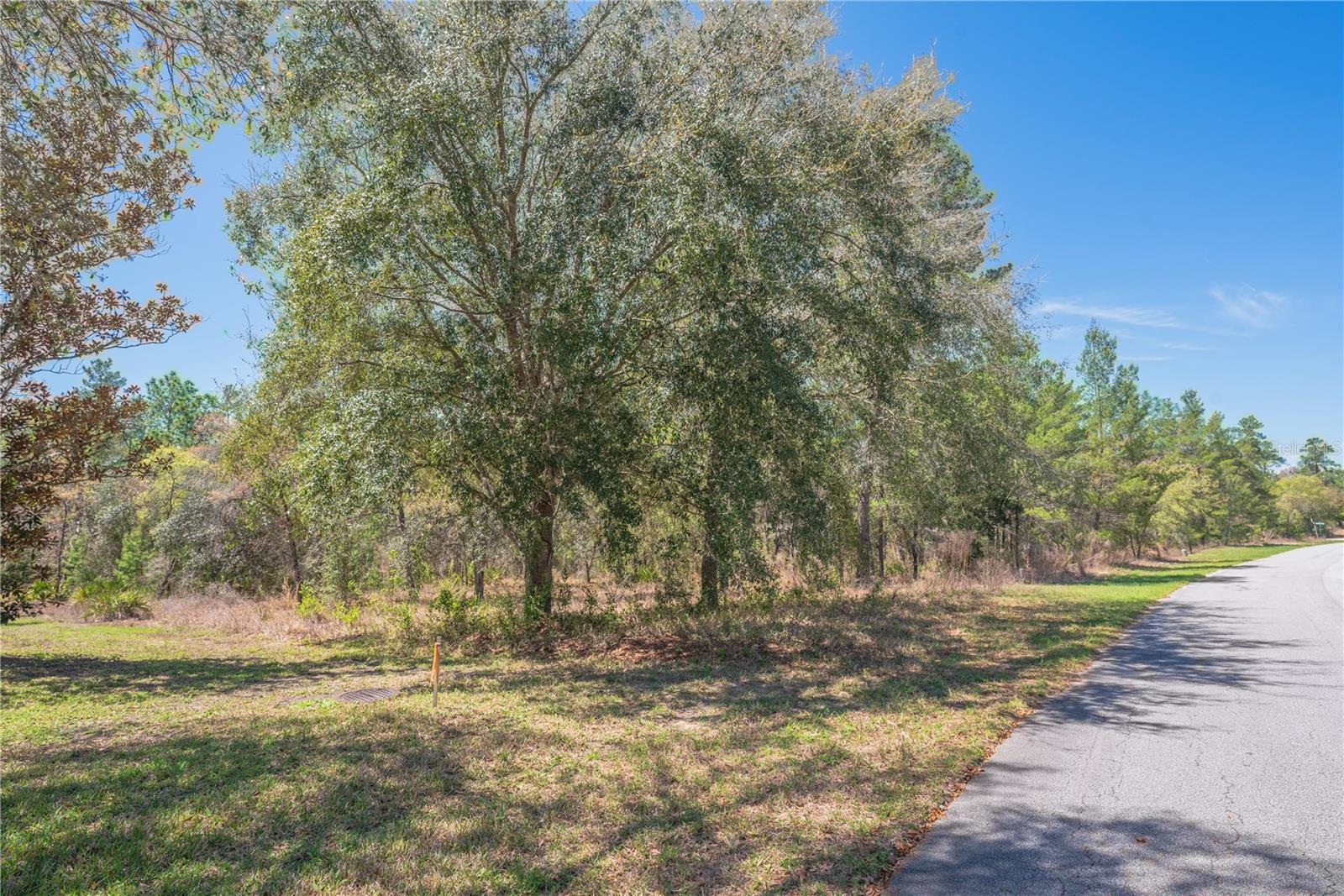 Image 12 of 15 For 10 Heuchera Court E