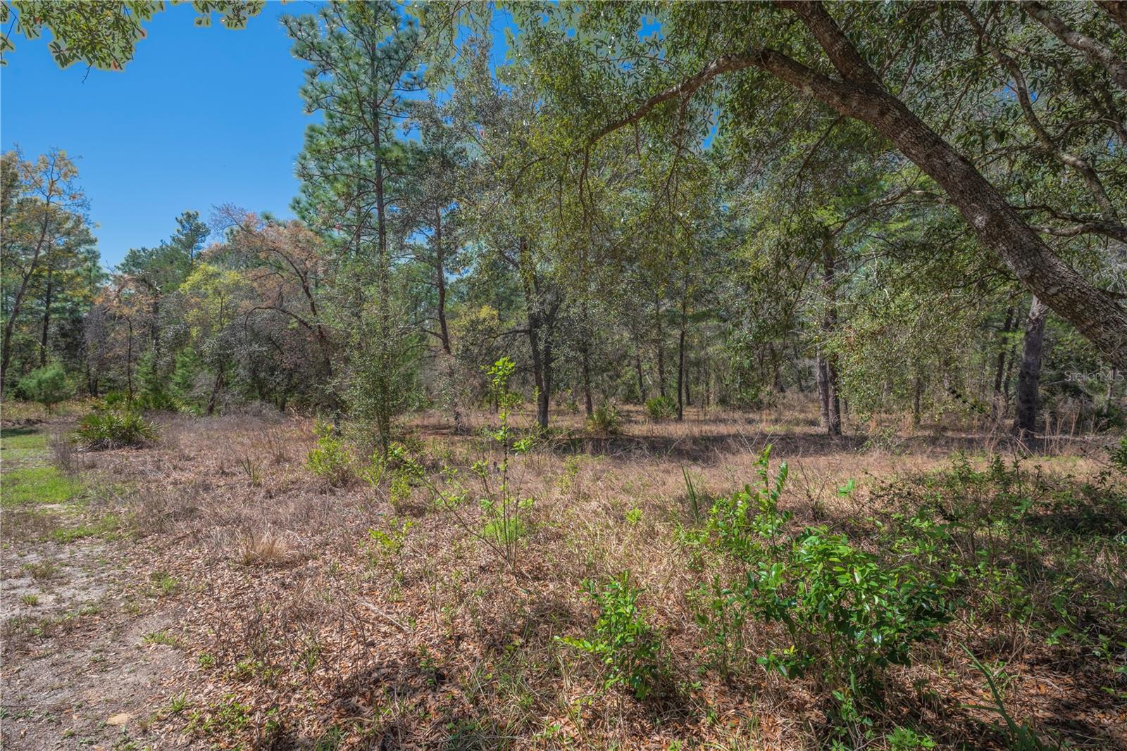 Image 5 of 15 For 10 Heuchera Court E