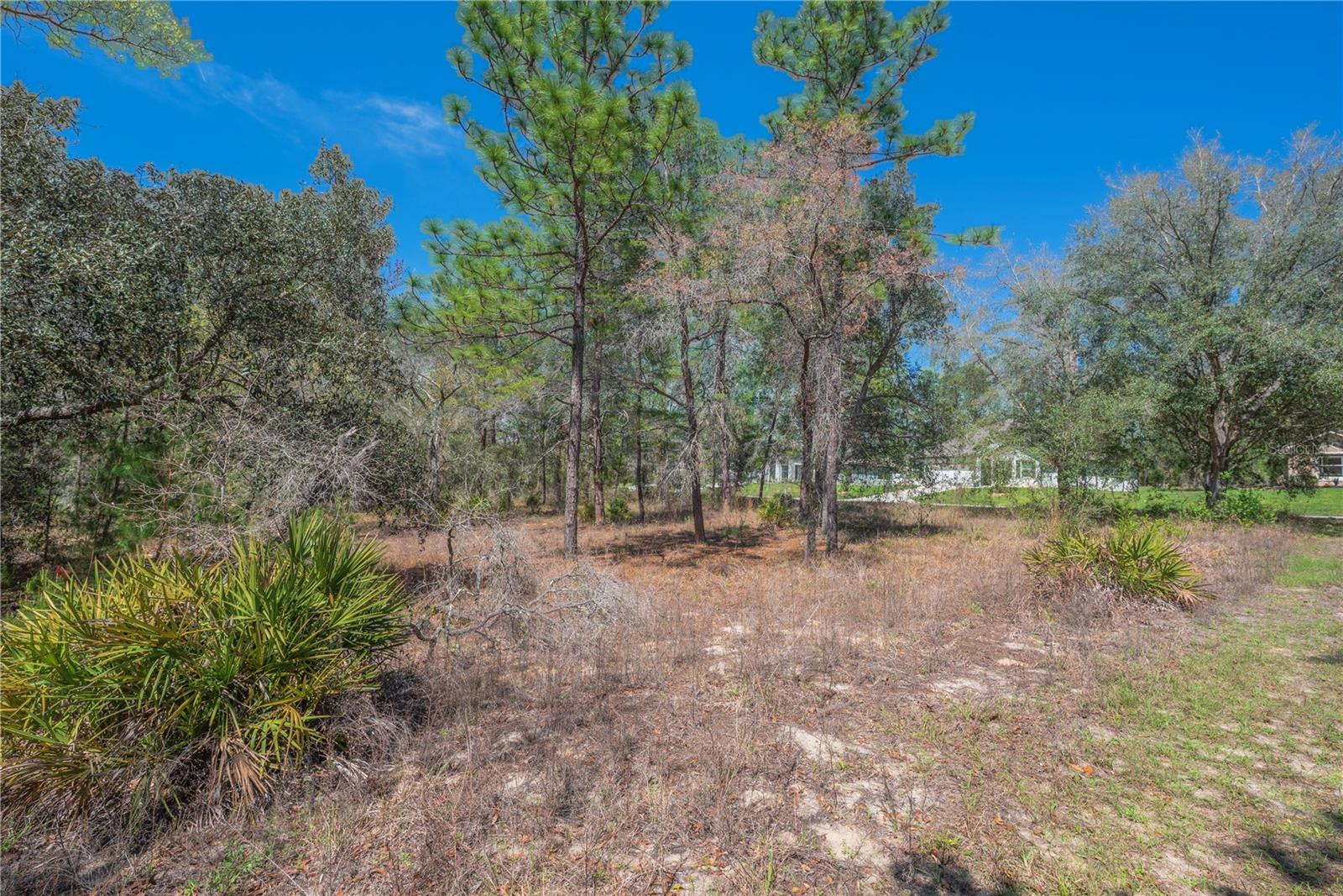 Image 6 of 15 For 10 Heuchera Court E