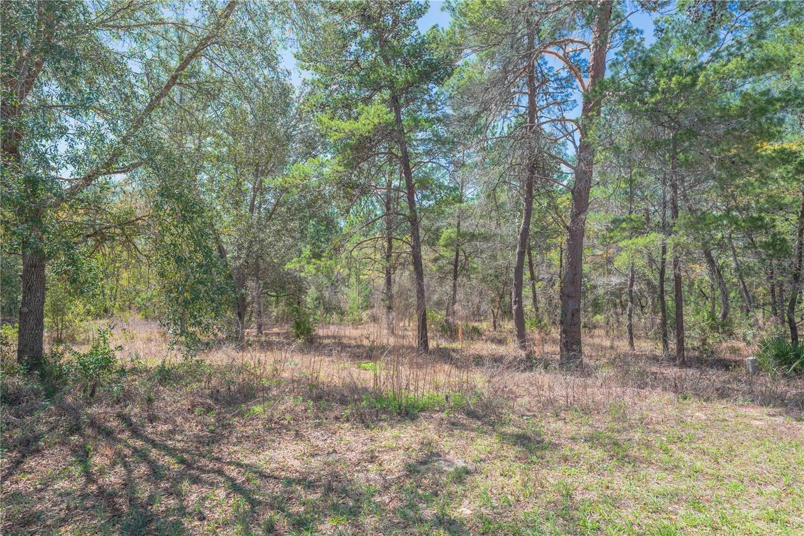 Image 7 of 15 For 10 Heuchera Court E