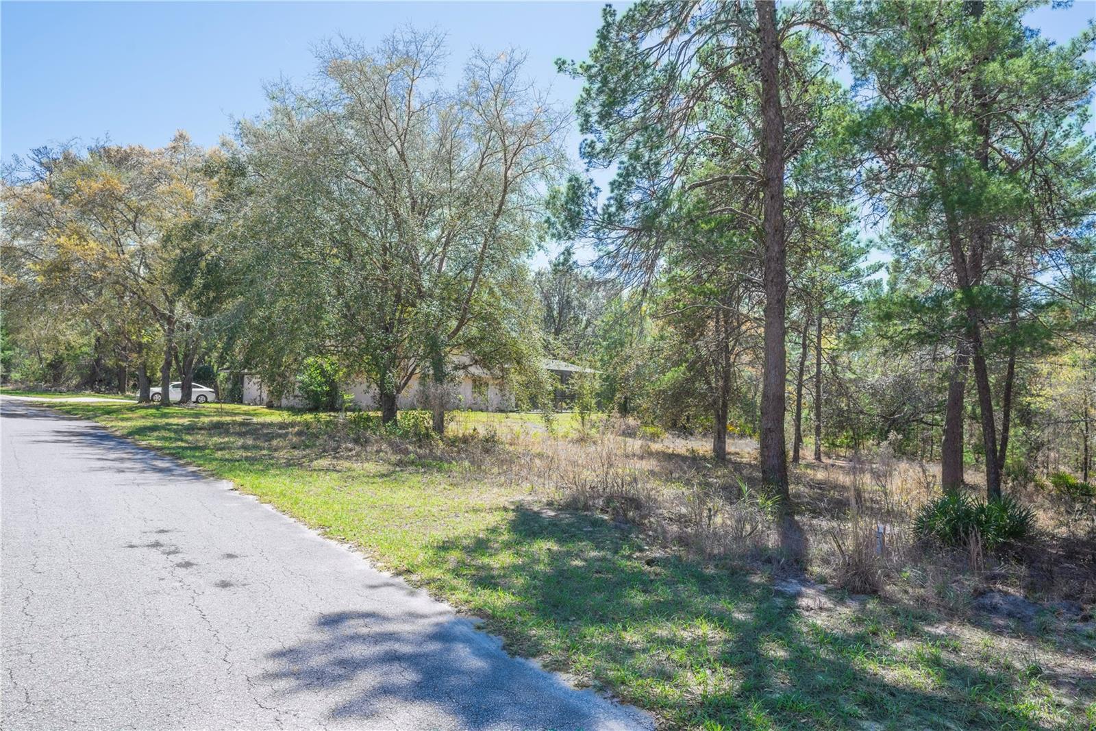 Image 8 of 15 For 10 Heuchera Court E