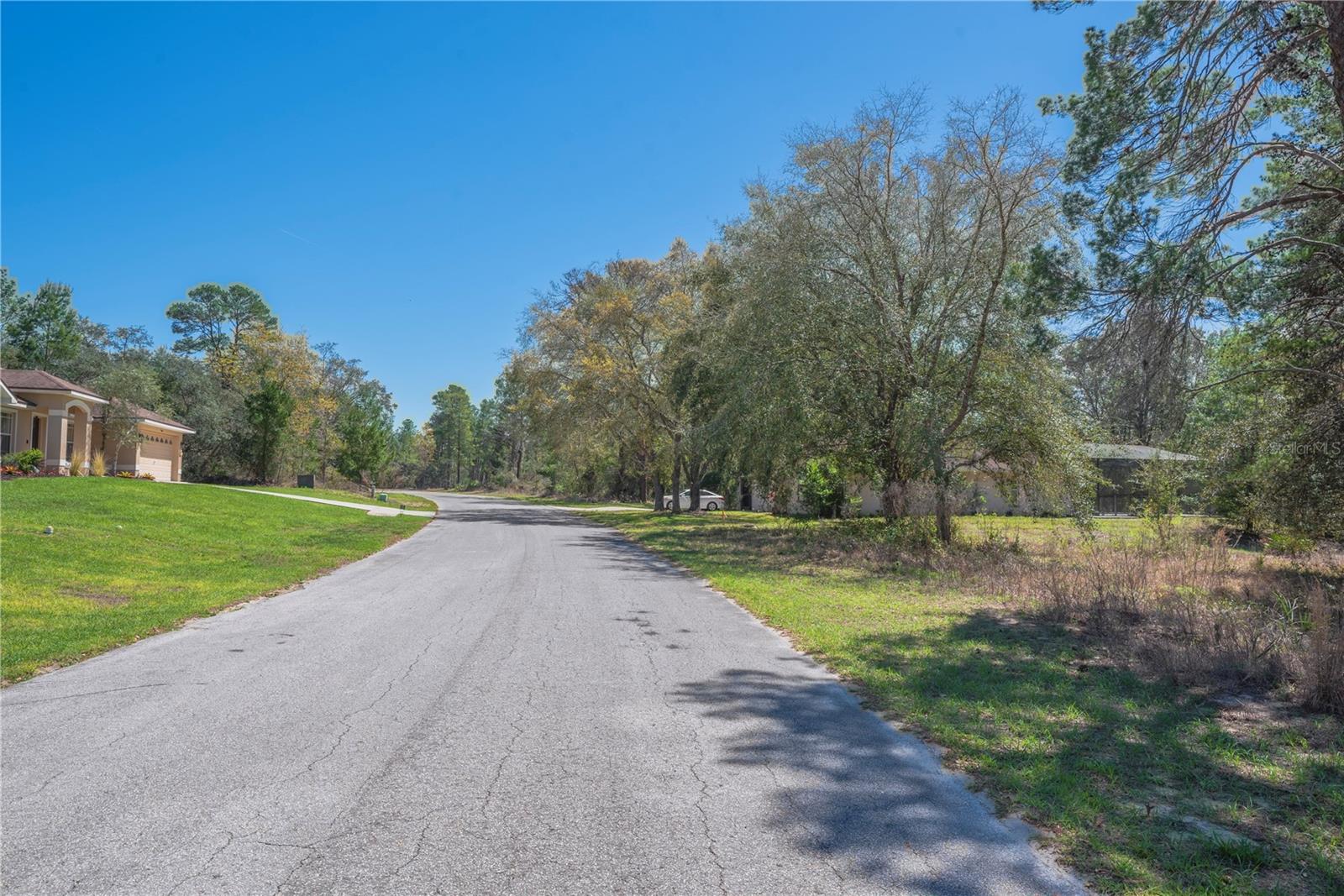 Image 9 of 15 For 10 Heuchera Court E