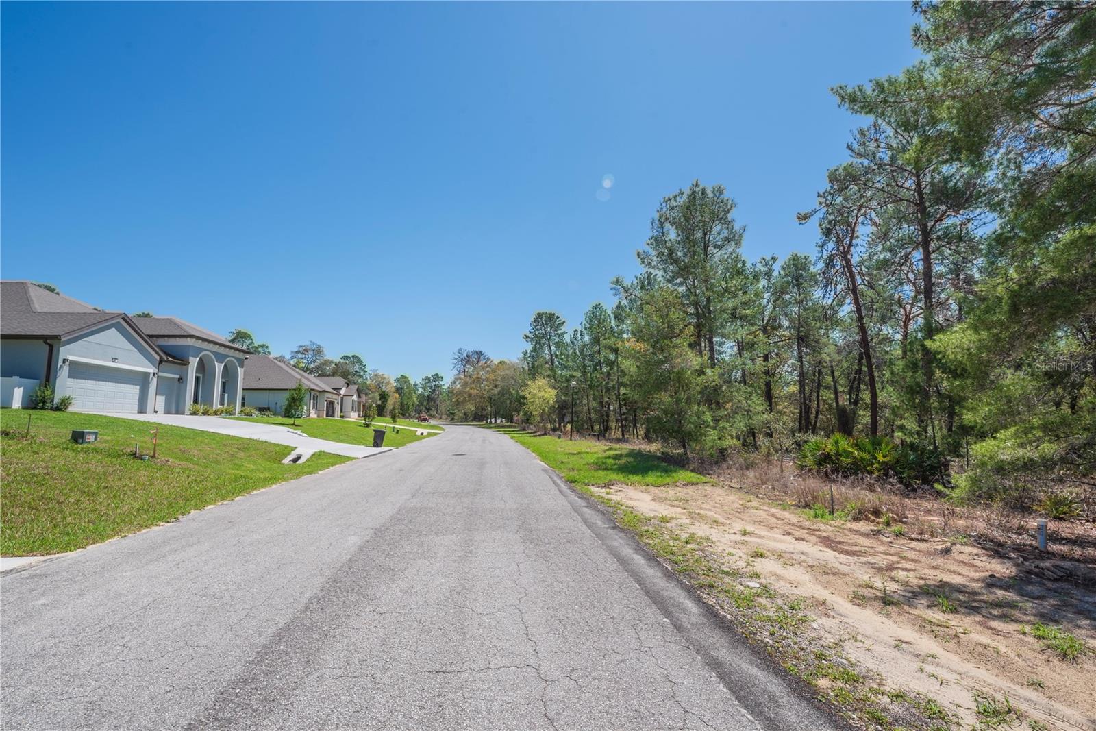 Image 10 of 13 For 6 Heuchera Court E