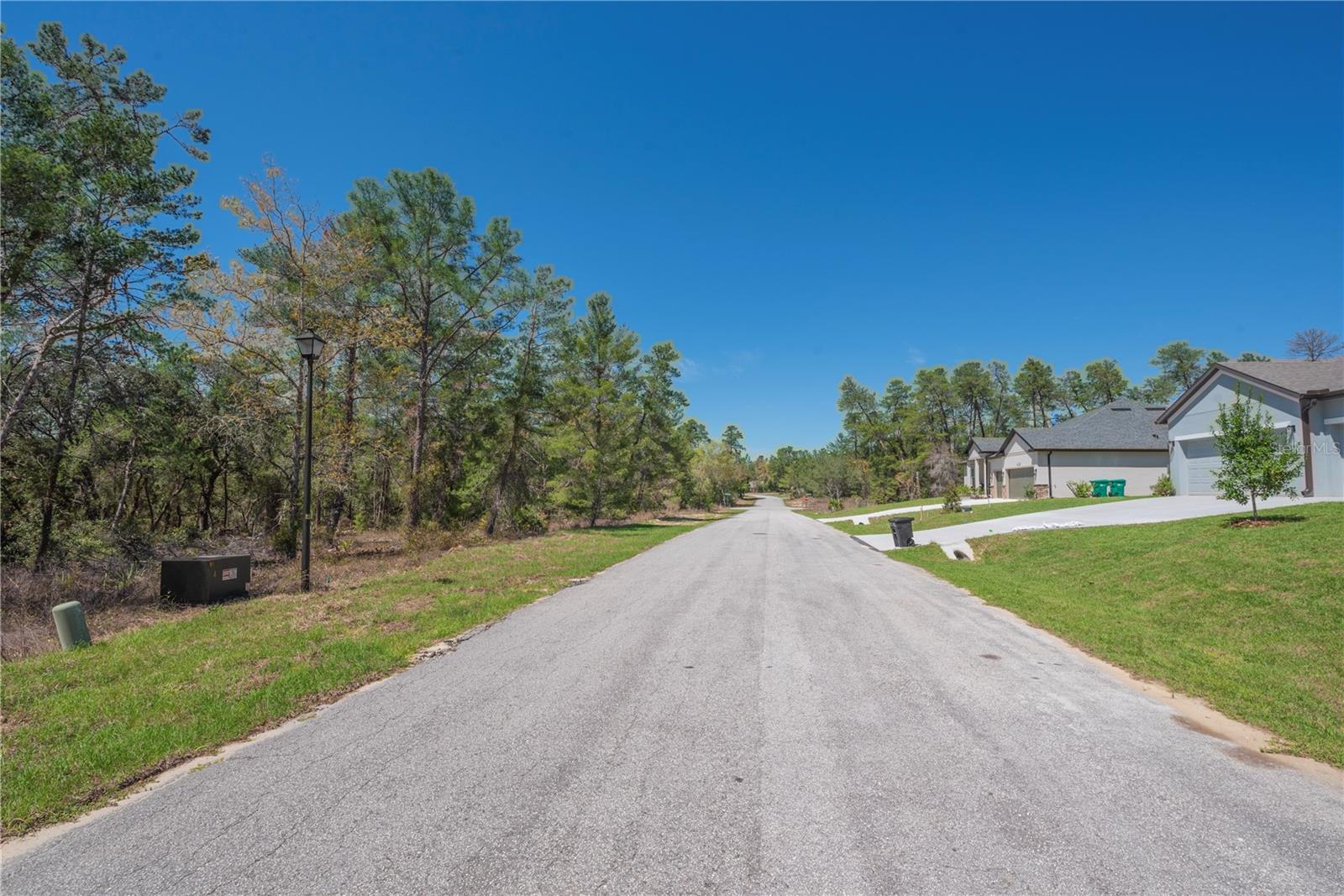 Image 12 of 13 For 6 Heuchera Court E