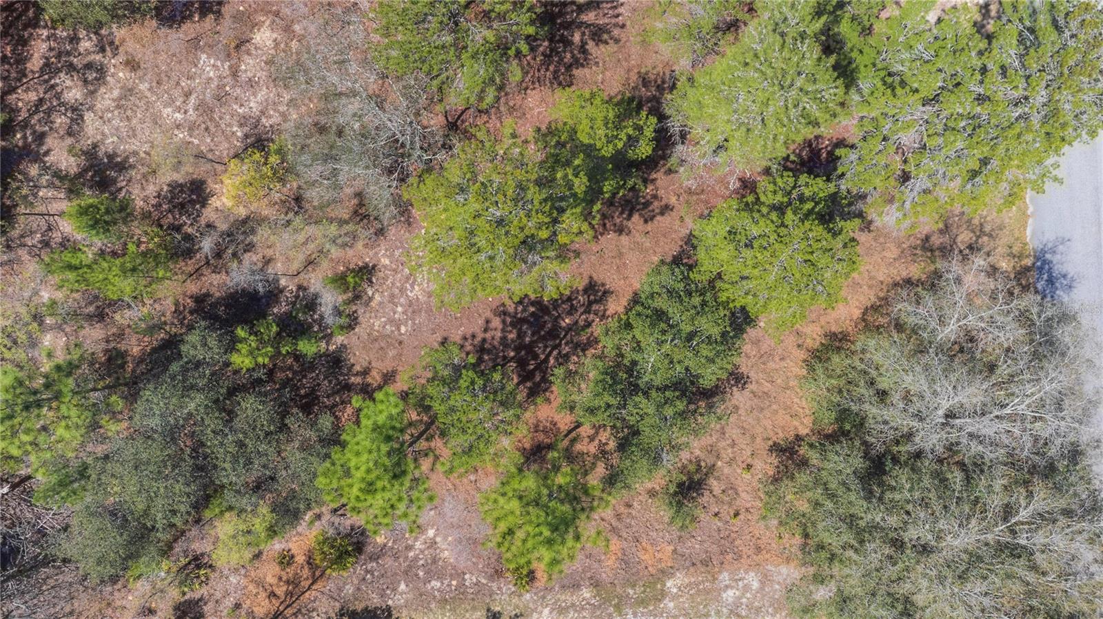 Image 3 of 13 For 6 Heuchera Court E