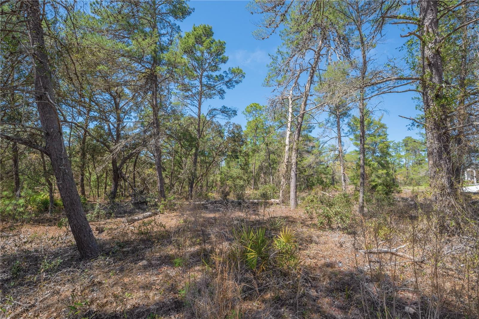 Image 5 of 13 For 6 Heuchera Court E