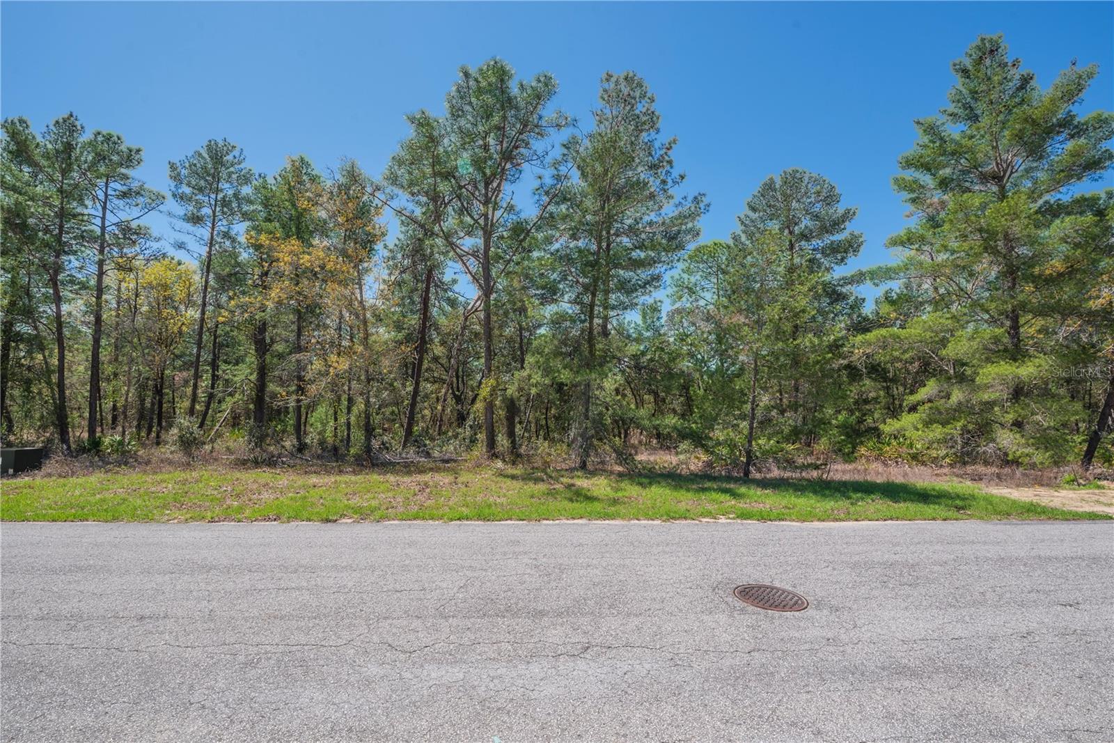 Image 6 of 13 For 6 Heuchera Court E