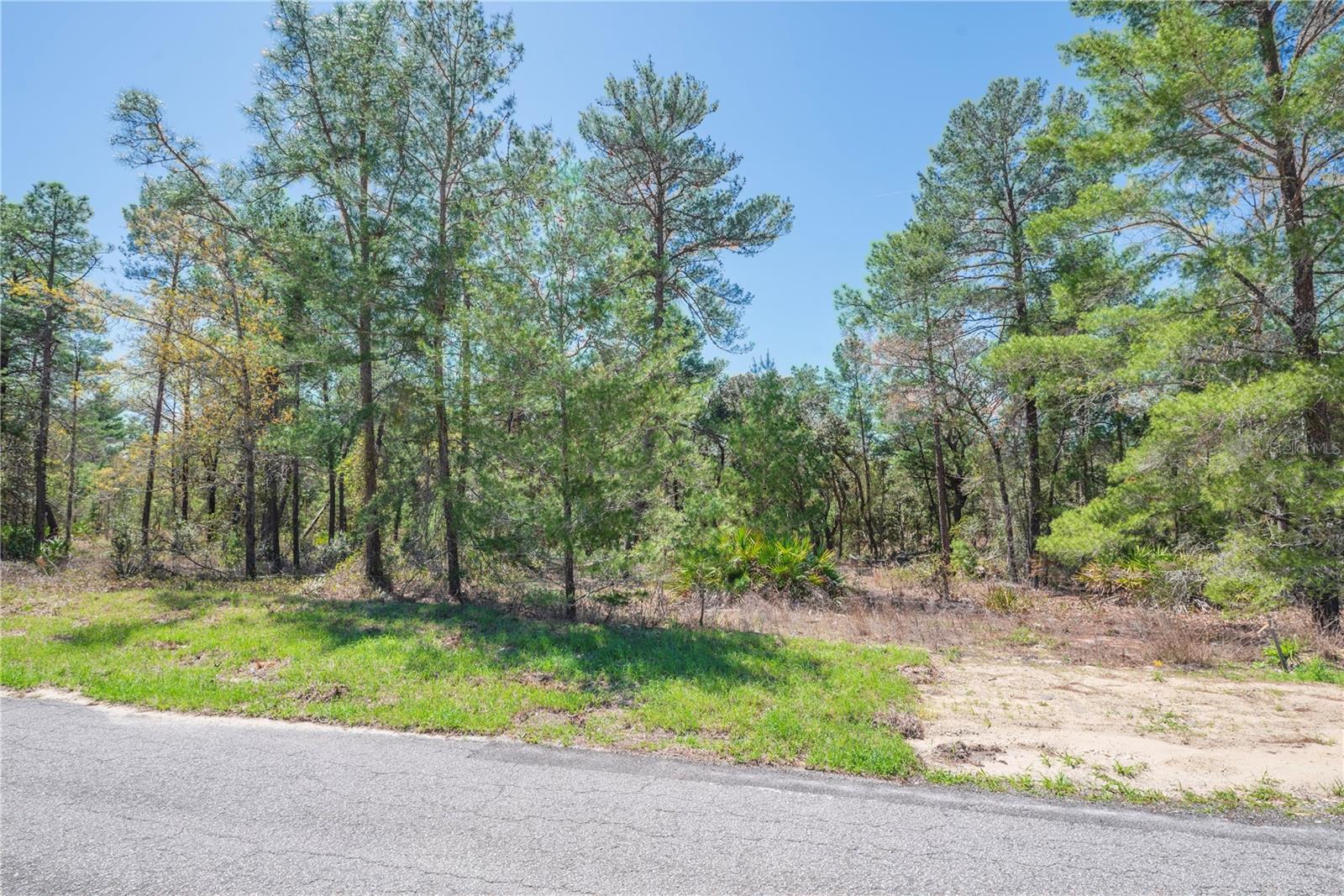 Image 8 of 13 For 6 Heuchera Court E