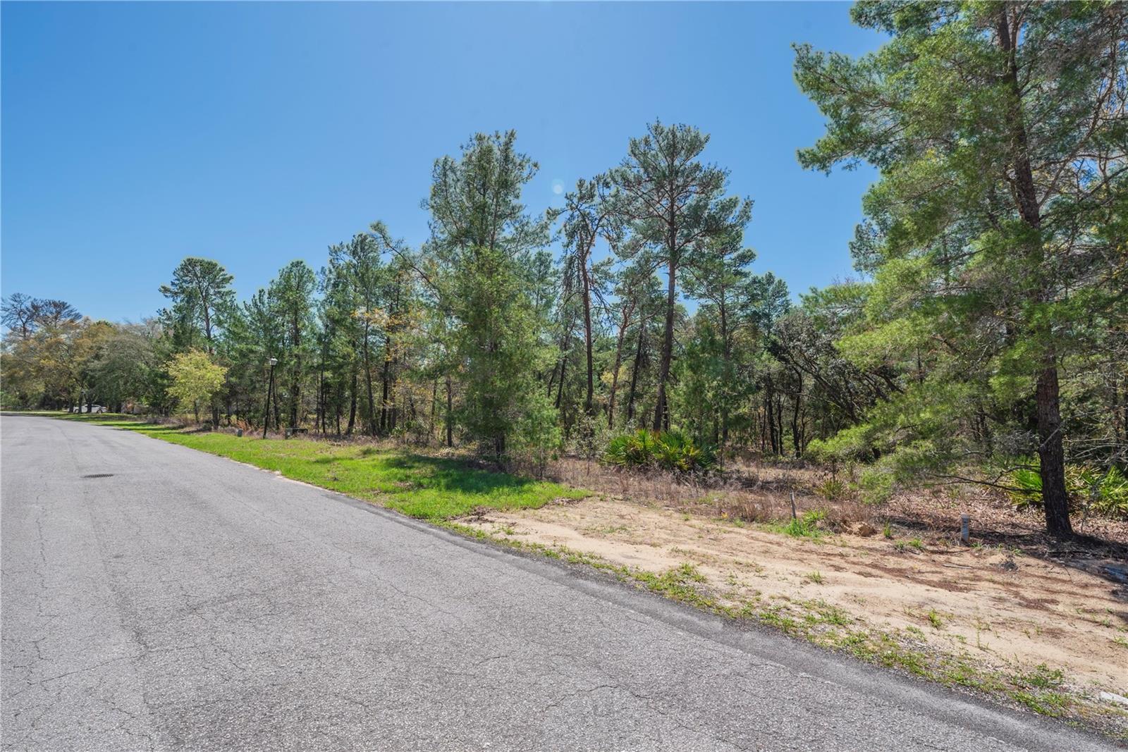 Image 9 of 13 For 6 Heuchera Court E