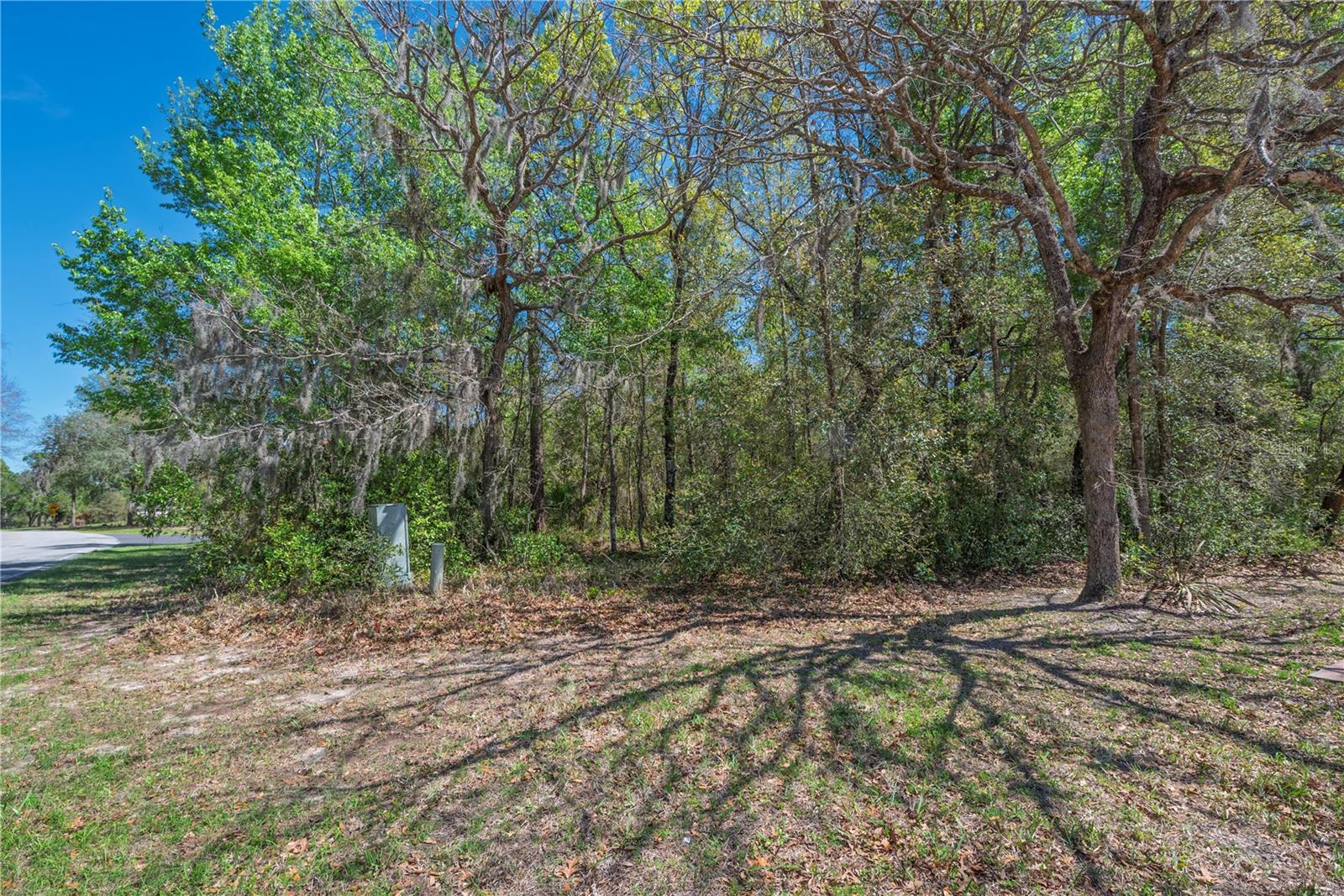 Image 10 of 15 For 1 Pine Street