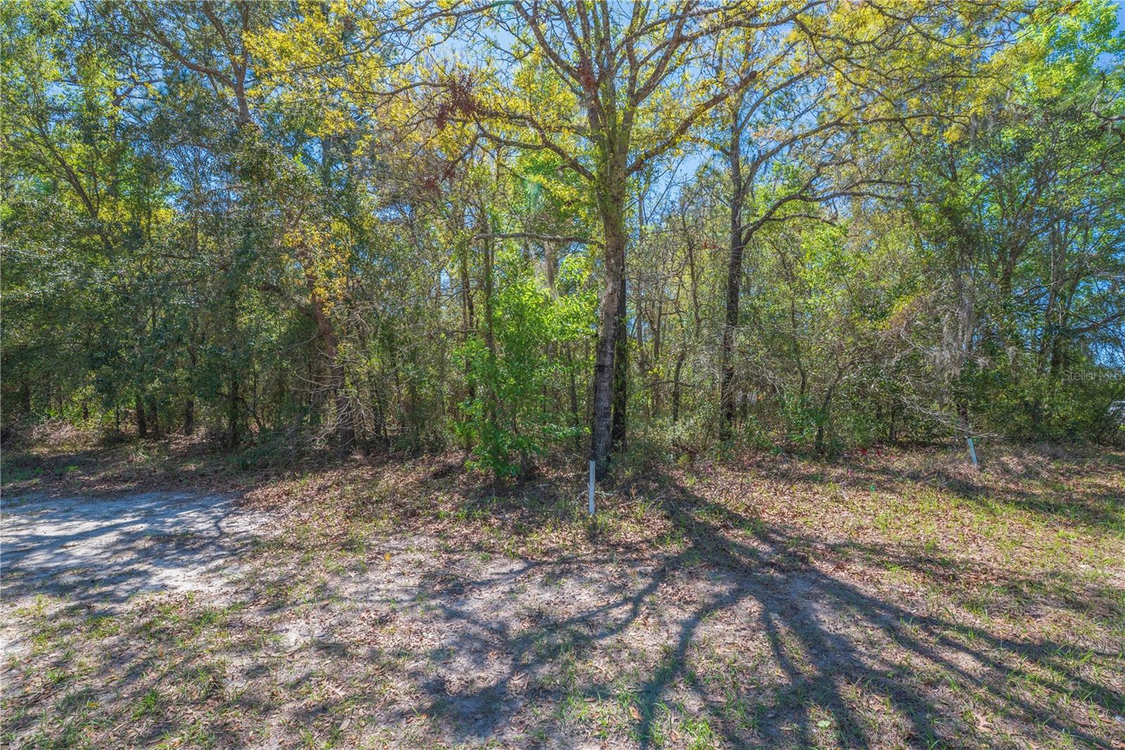 Image 11 of 15 For 1 Pine Street