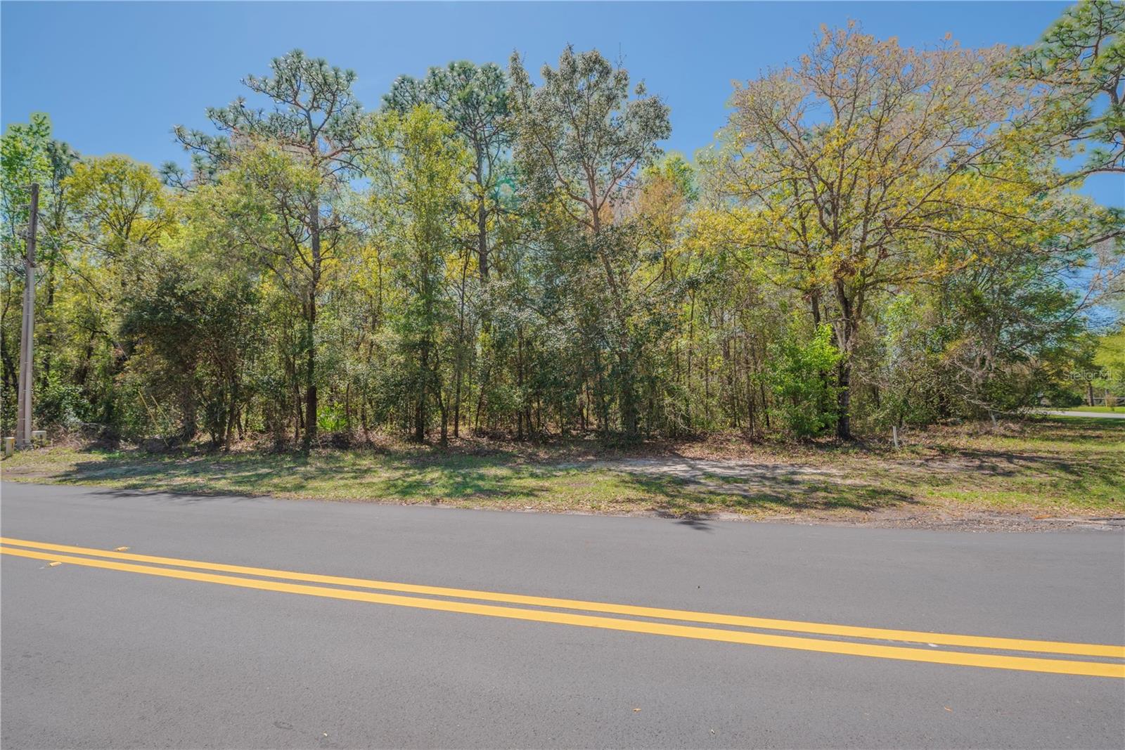 Image 13 of 15 For 1 Pine Street