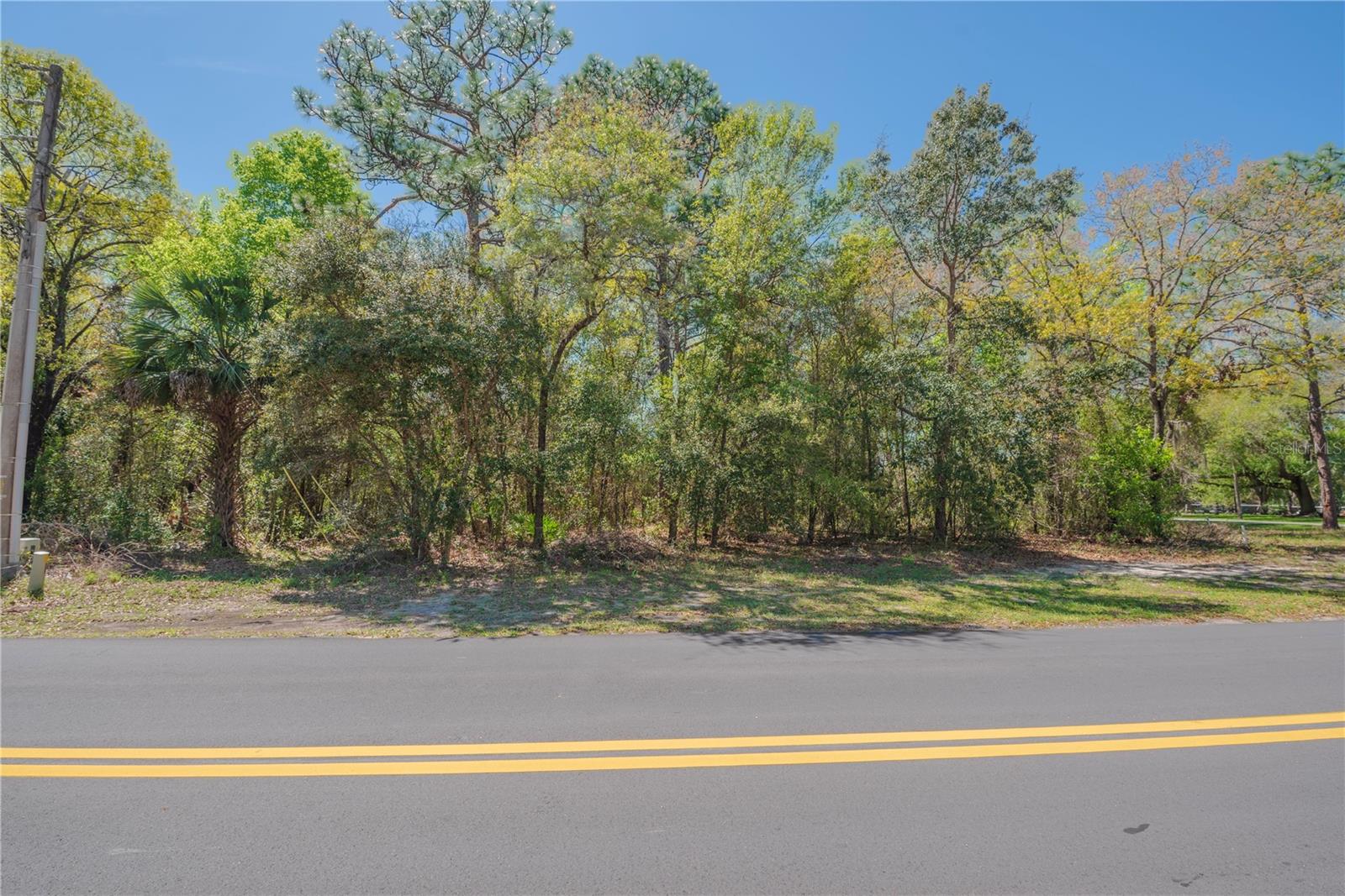 Image 15 of 15 For 1 Pine Street