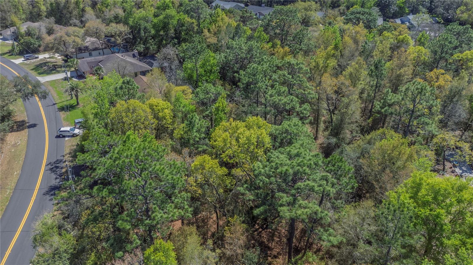 Image 3 of 15 For 1 Pine Street