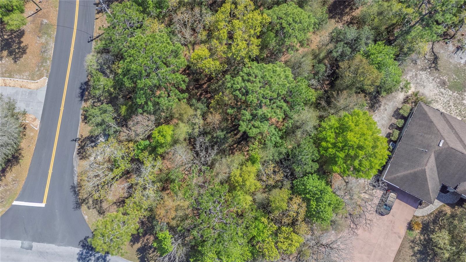 Image 5 of 15 For 1 Pine Street