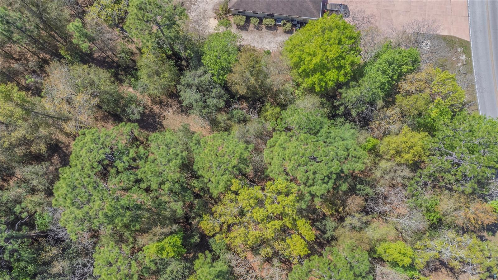 Image 6 of 15 For 1 Pine Street