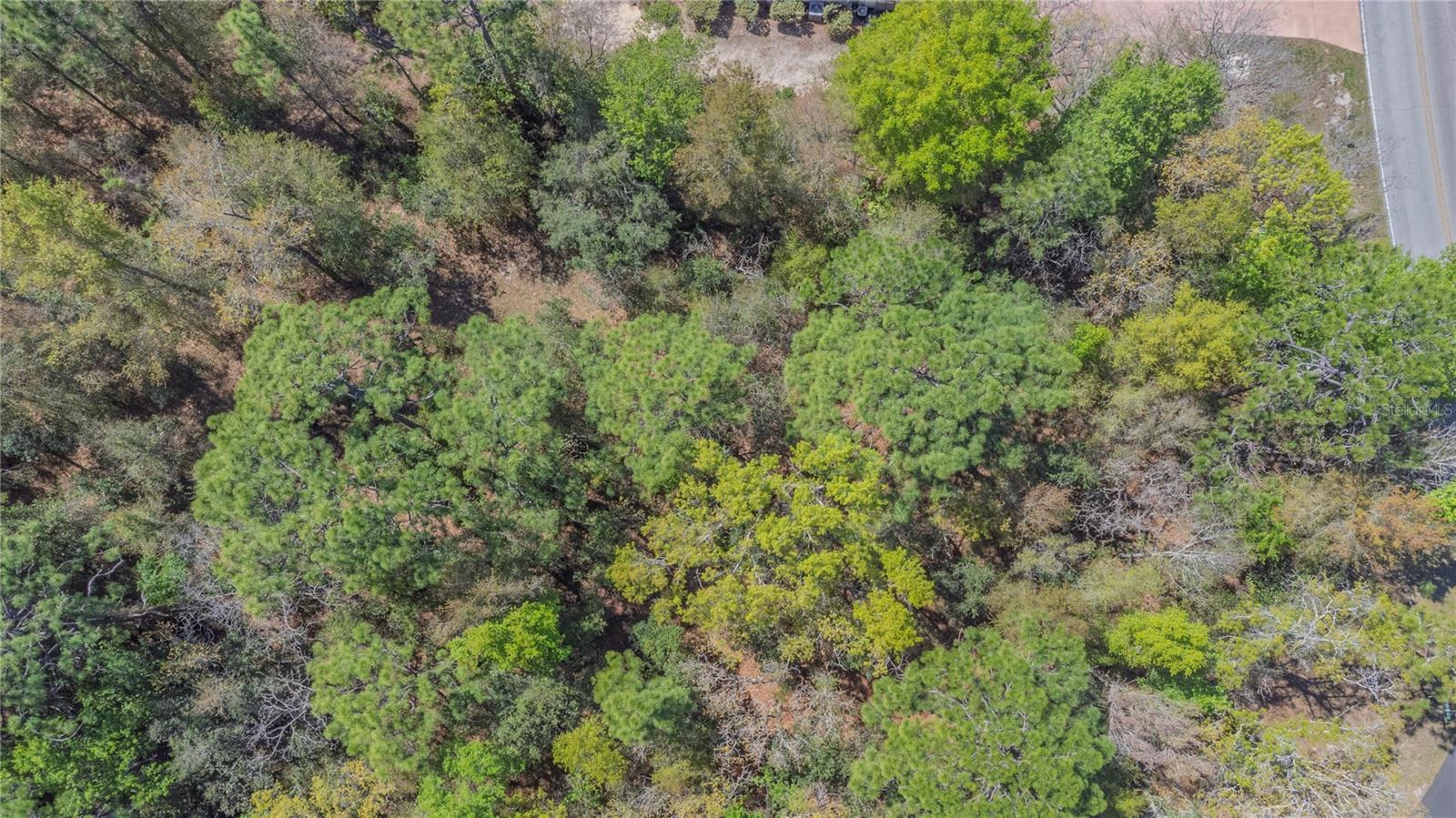 Image 7 of 15 For 1 Pine Street