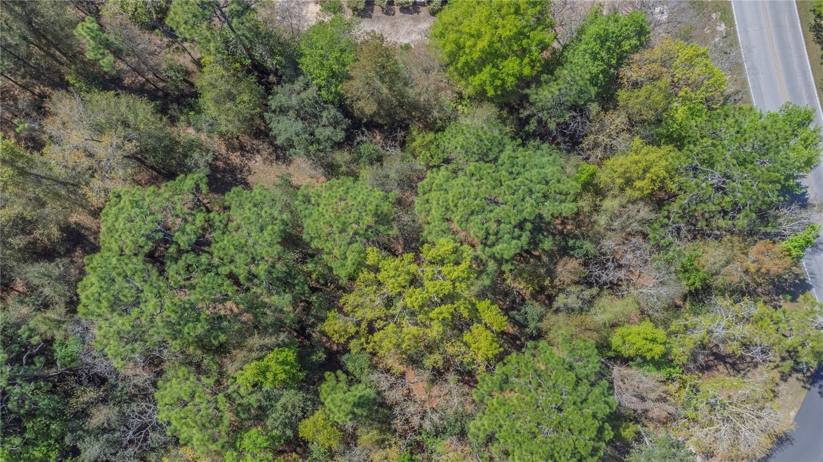 Image 8 of 15 For 1 Pine Street