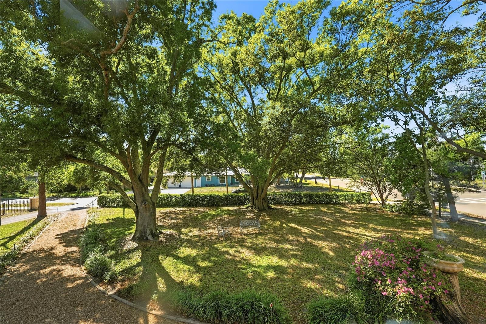 Image 2 of 39 For 100 72nd Street S