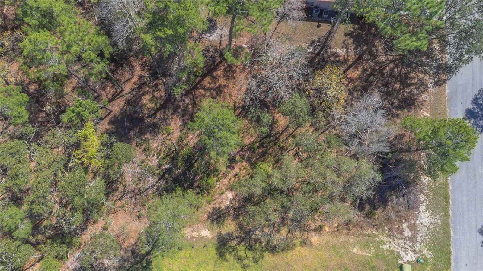 Details for 16 Iberis Court, HOMOSASSA, FL 34446