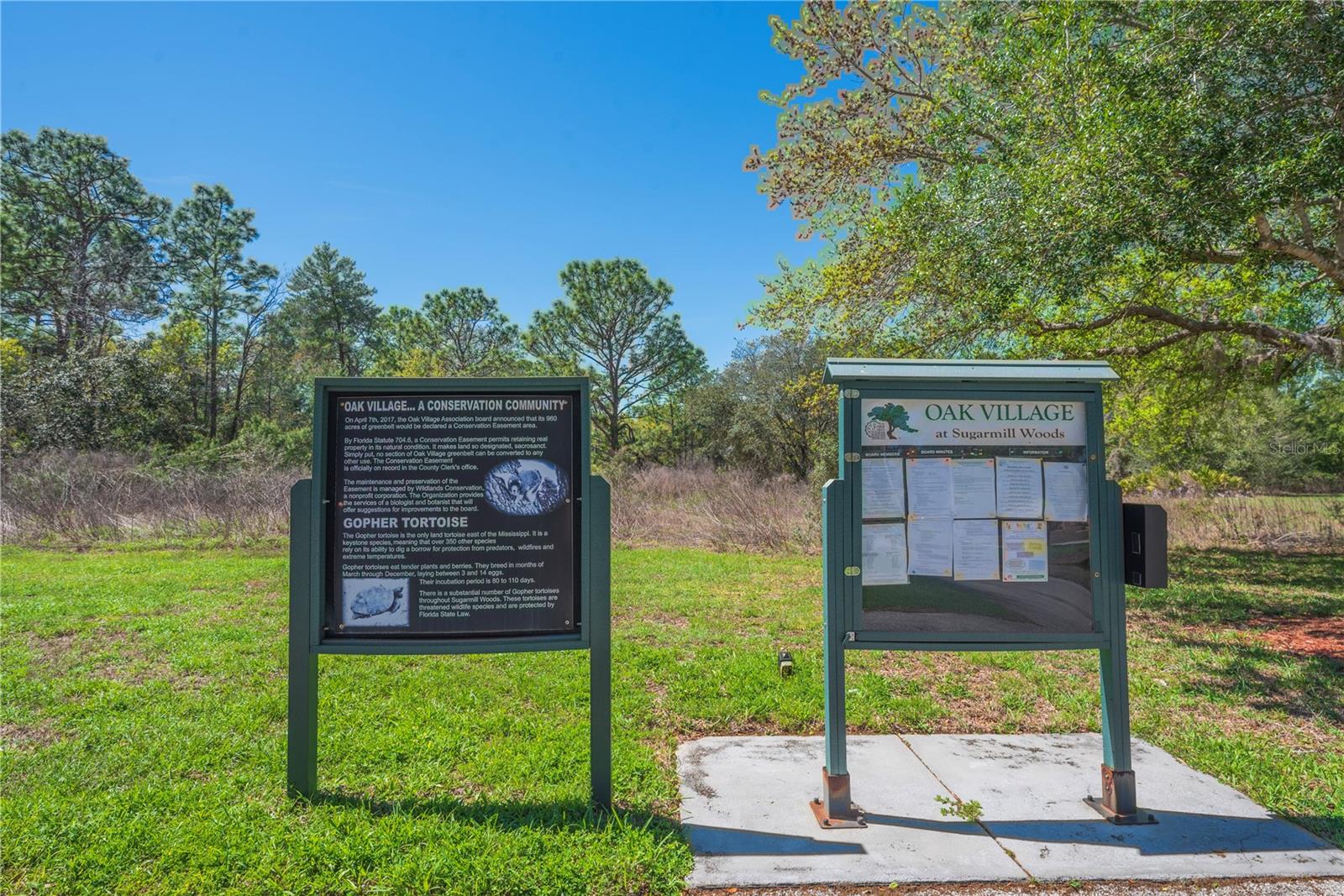 Image 13 of 13 For 16 Iberis Court