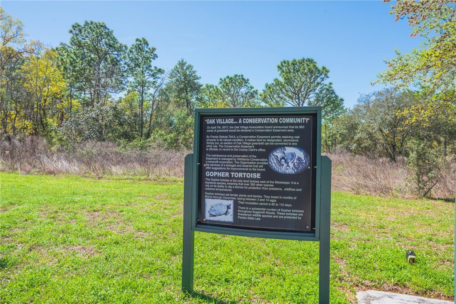 Image 2 of 13 For 16 Iberis Court