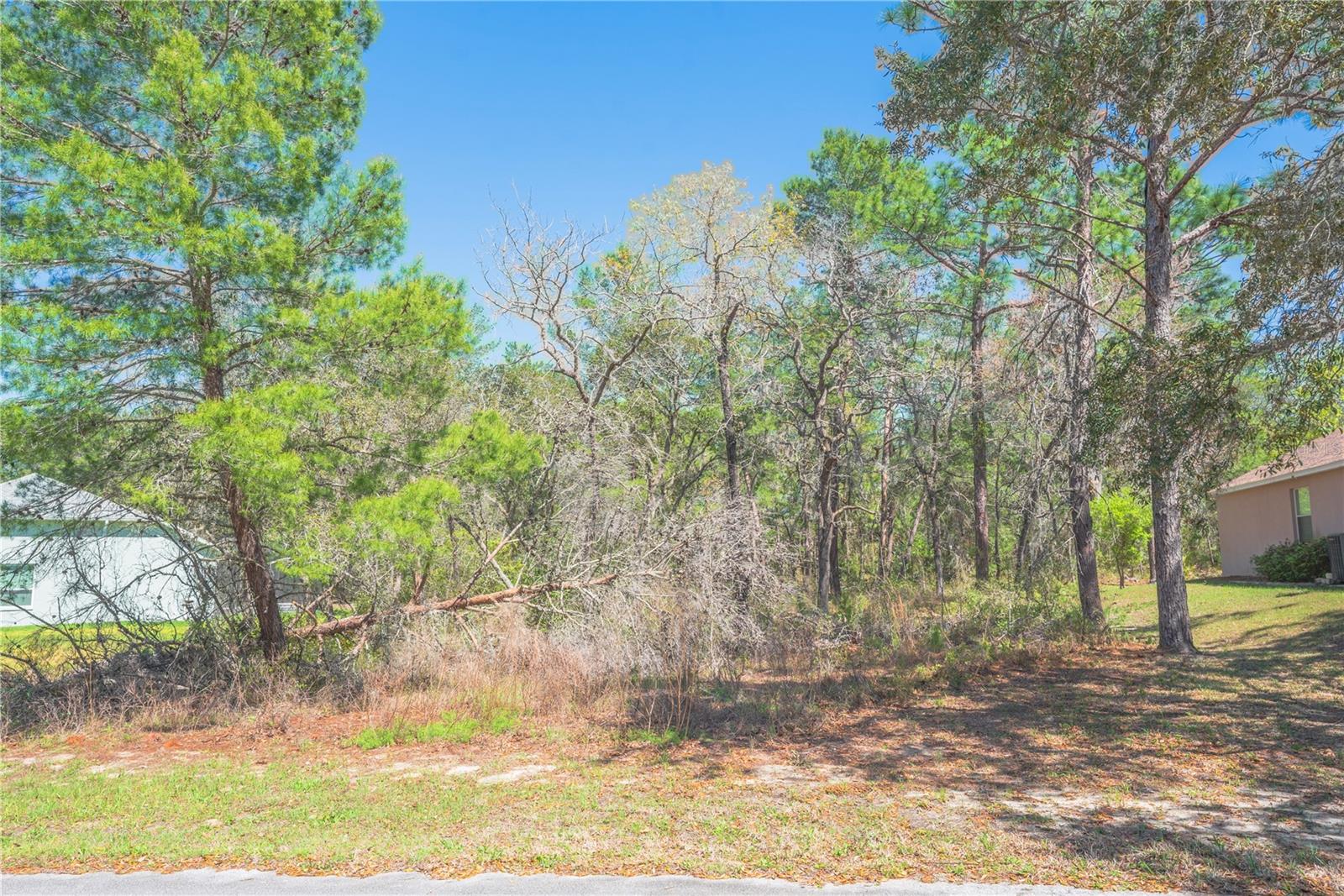 Image 6 of 13 For 16 Iberis Court