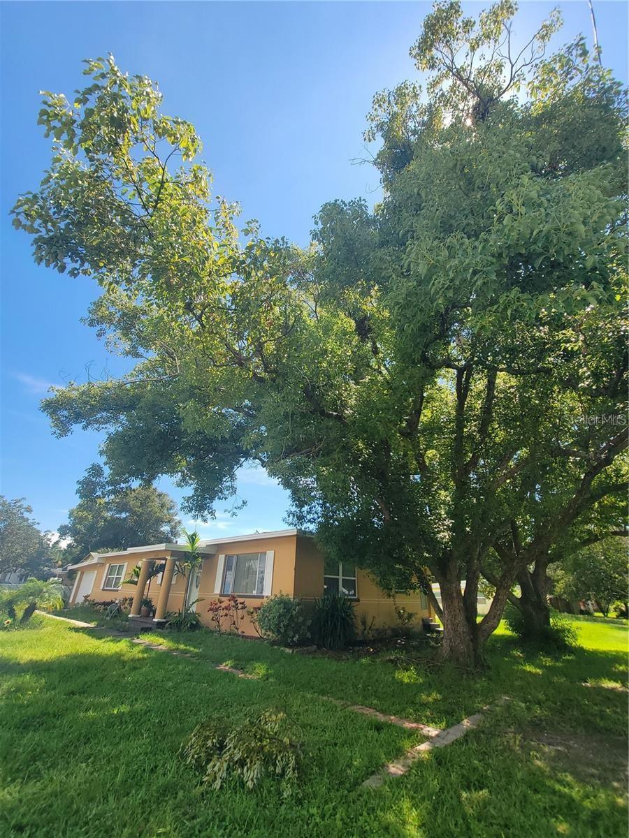 Image 27 of 31 For 5230 11th Avenue S