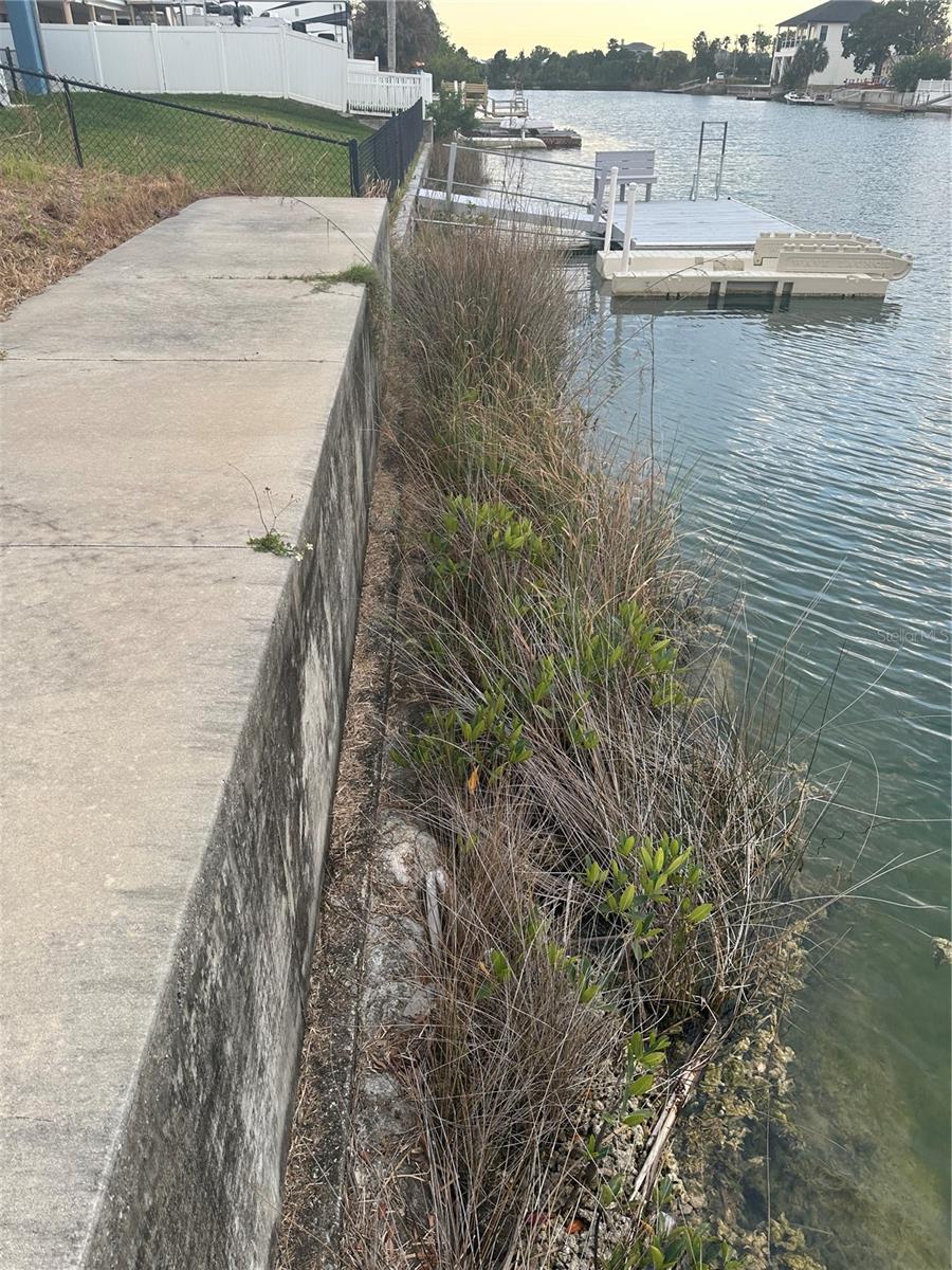 Image 9 of 21 For 3377 Oleander Drive