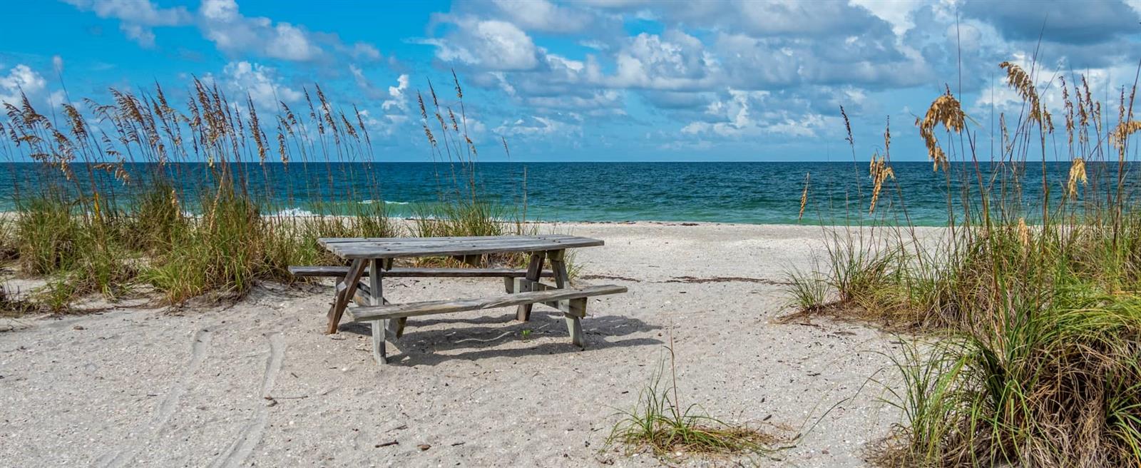 Image 28 of 28 For 26 Clintwood Avenue