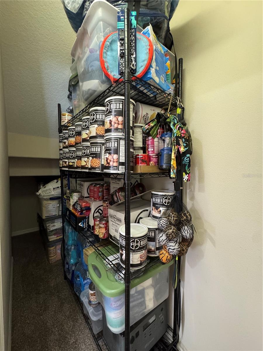 Image 42 of 78 For 21001 Lake Vienna Drive