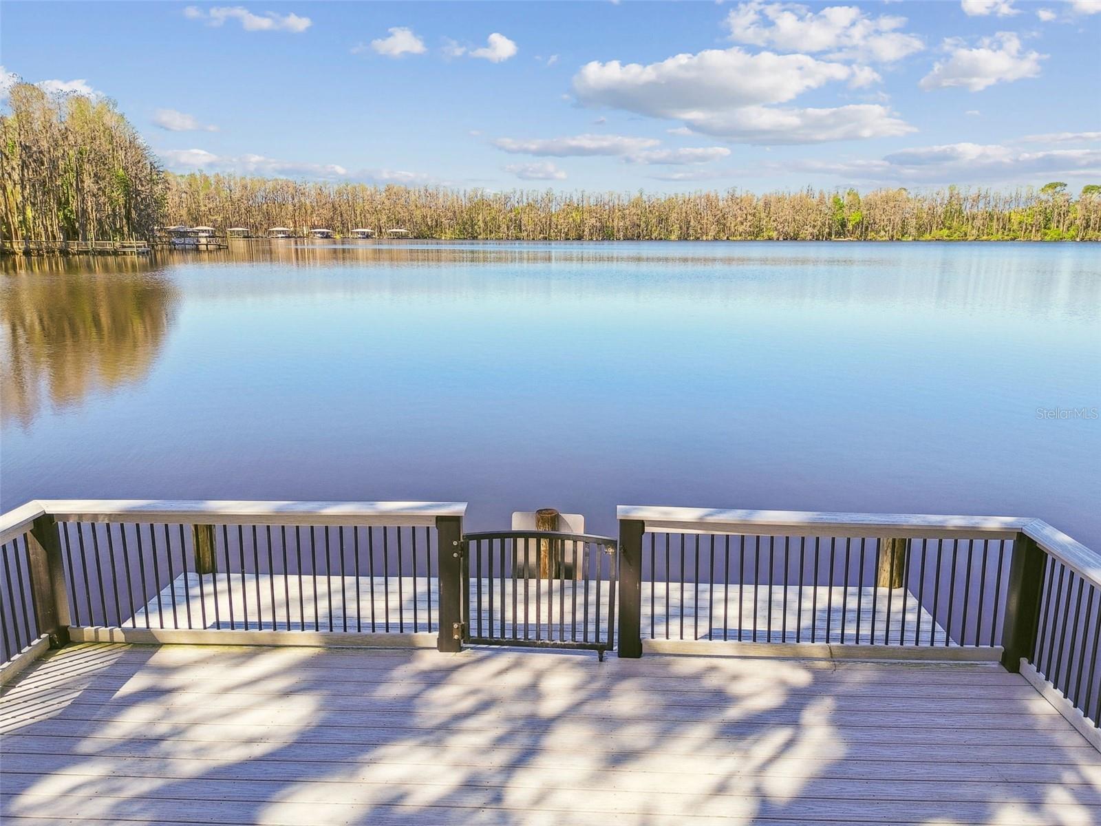 Image 77 of 78 For 21001 Lake Vienna Drive