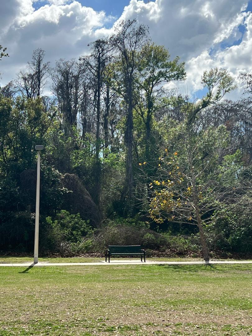 Image 25 of 28 For 12520 Mondragon Drive