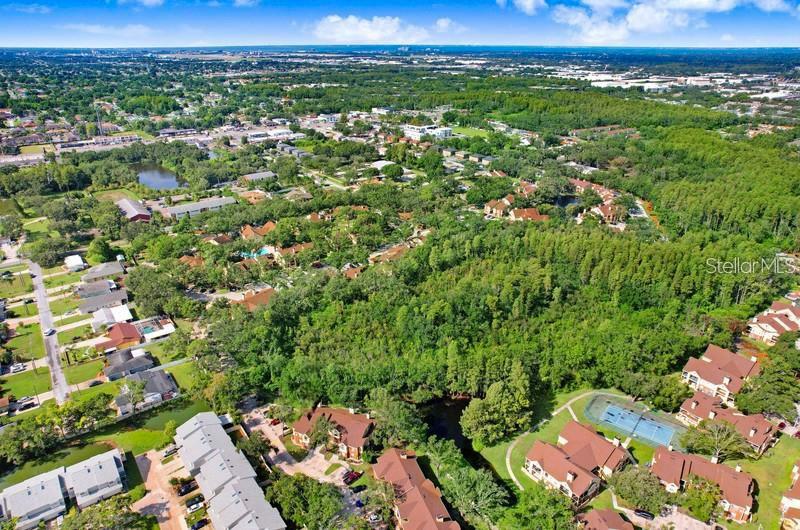 Image 60 of 95 For 8653 Fancy Finch Drive 101