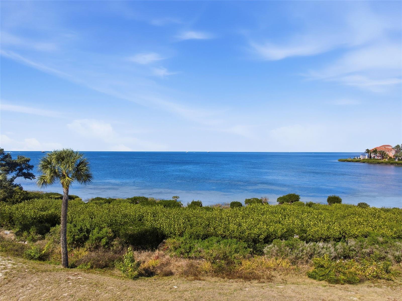 Listing photo id 25 for 25 Harborpointe Drive