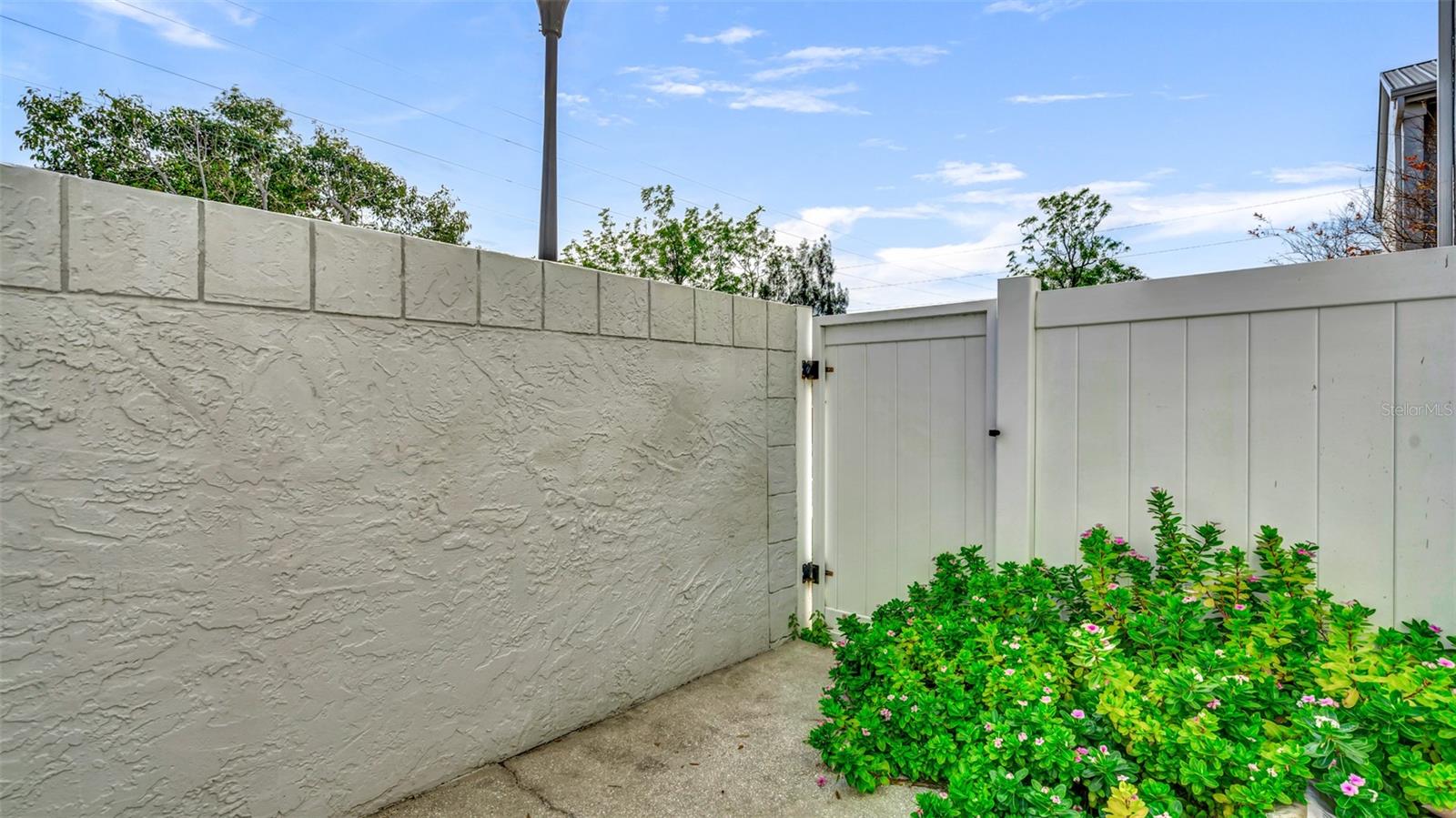 Image 31 of 37 For 8800 Bardmoor Boulevard 12