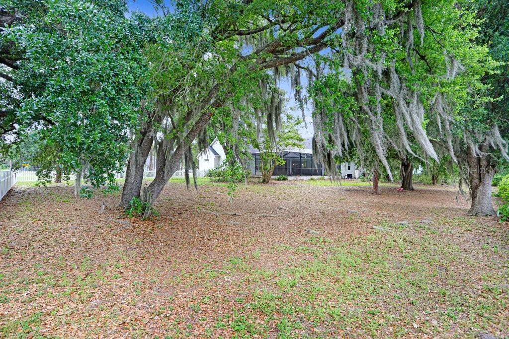 Image 62 of 65 For 3418 Paso Fino Lane