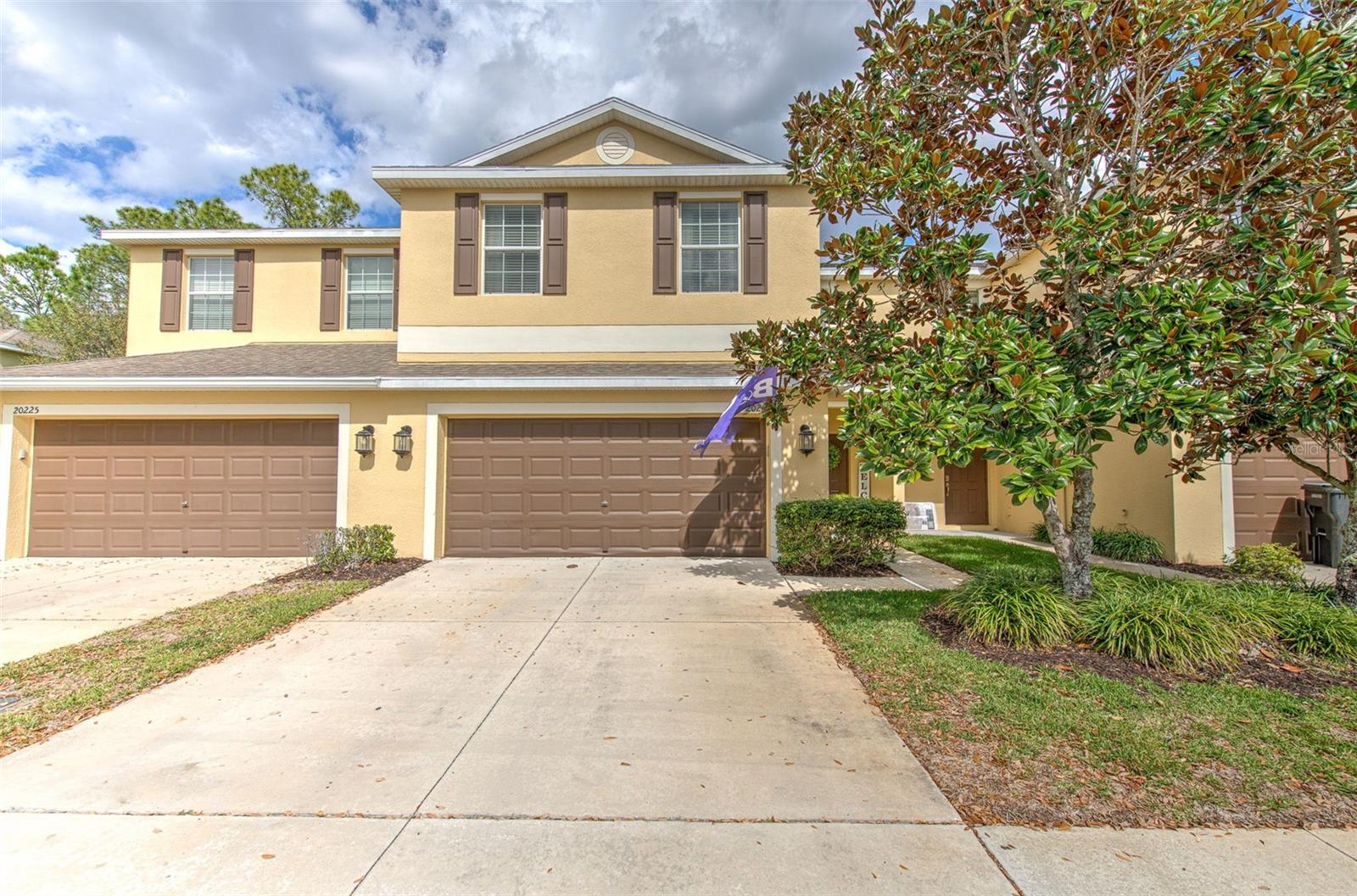 Details for 20223 Indian Rosewood Drive, TAMPA, FL 33647