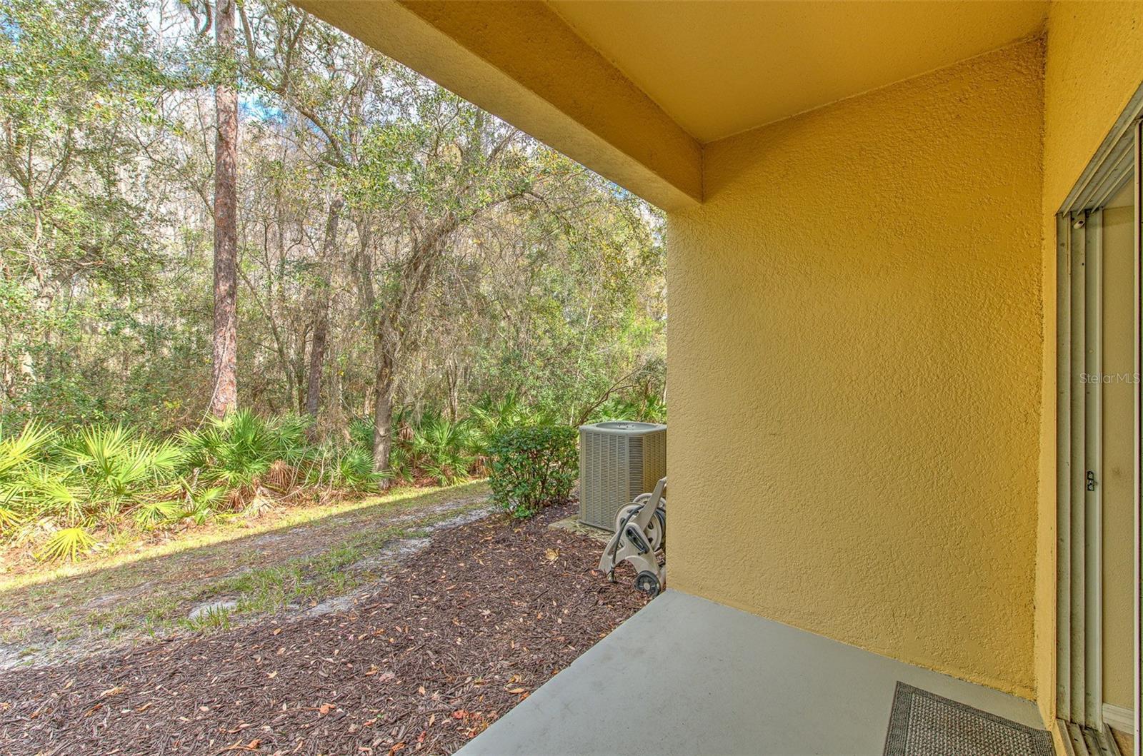 Image 5 of 49 For 20223 Indian Rosewood Drive