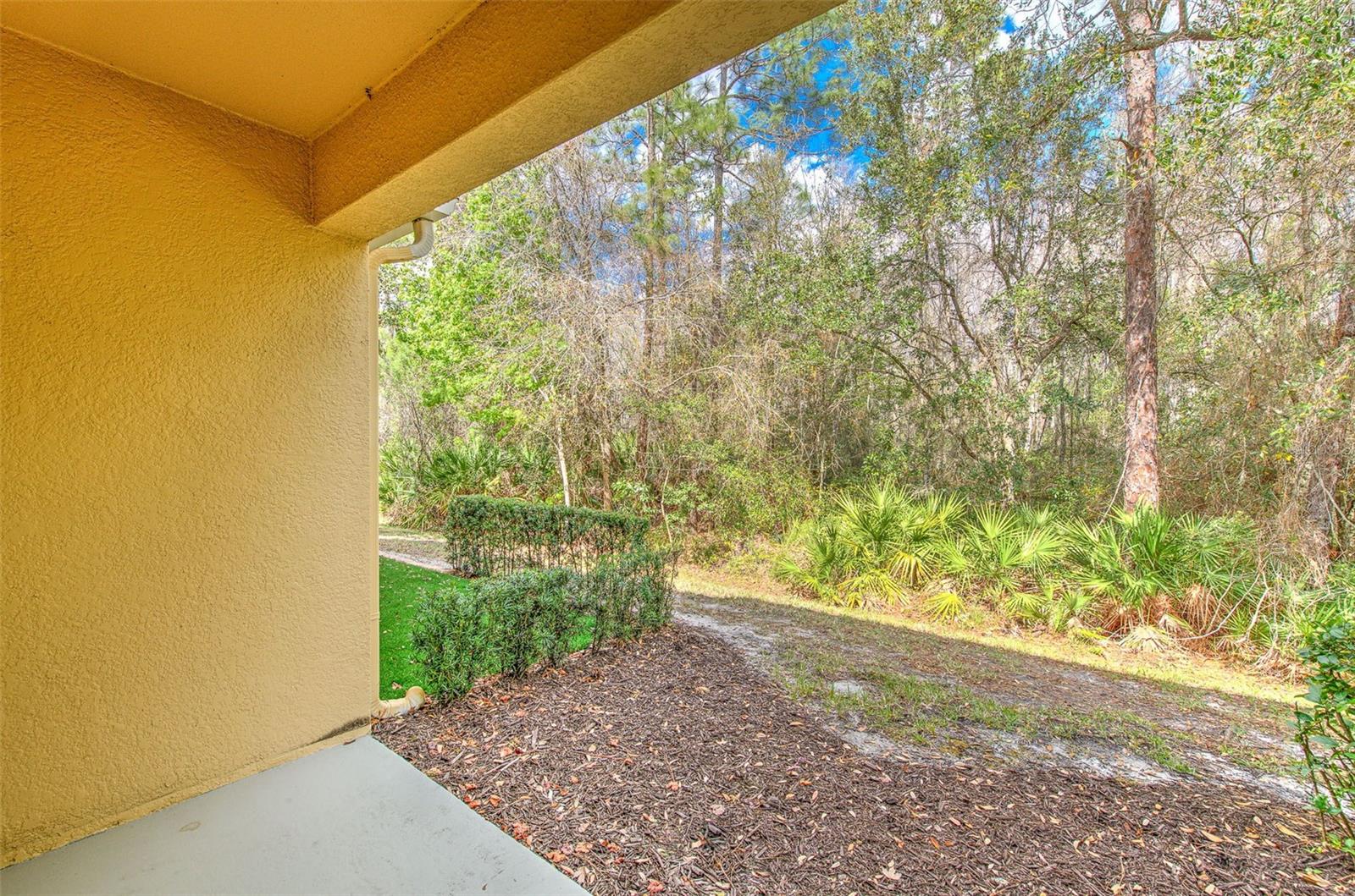 Image 6 of 49 For 20223 Indian Rosewood Drive