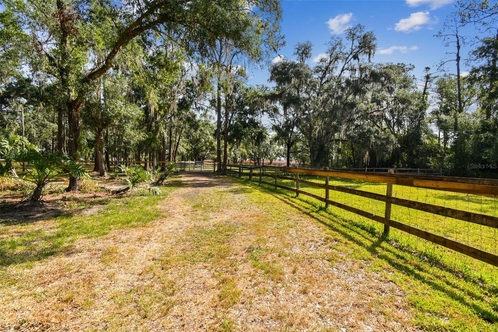 Image 14 of 62 For Address Not Provided