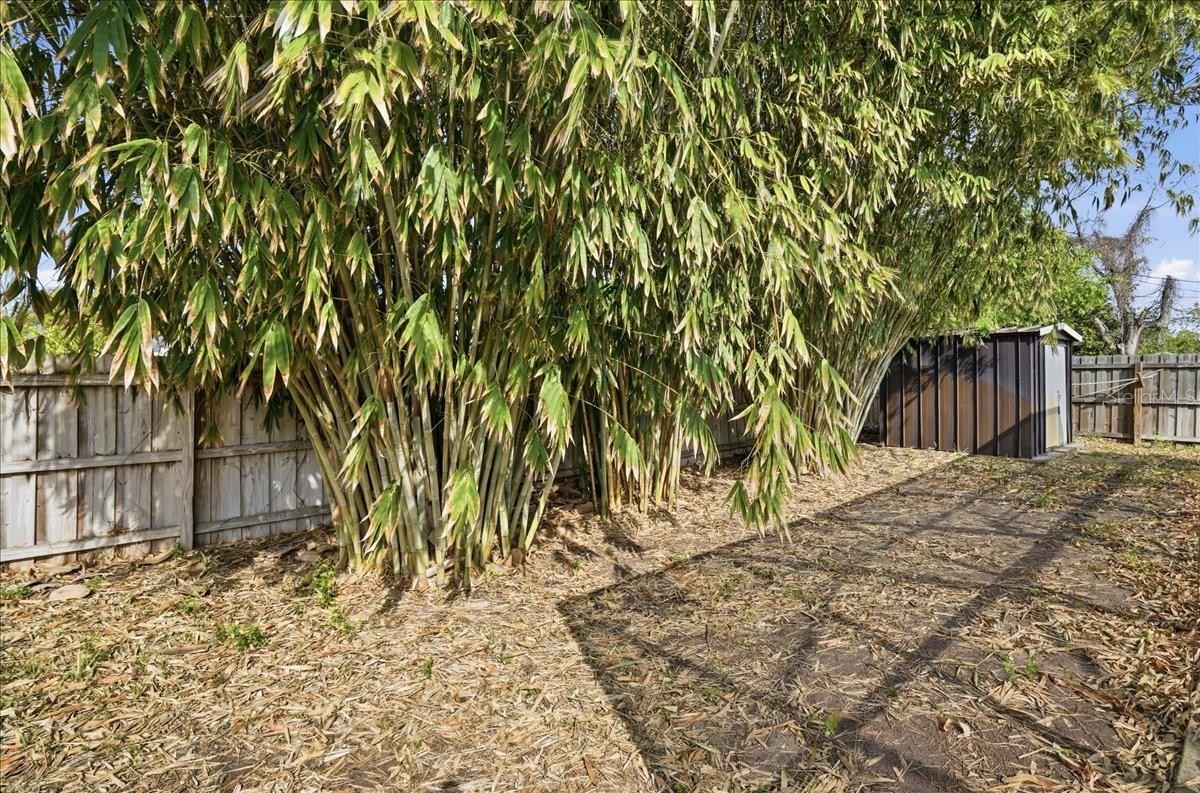 Image 21 of 24 For 5897 5th Street S