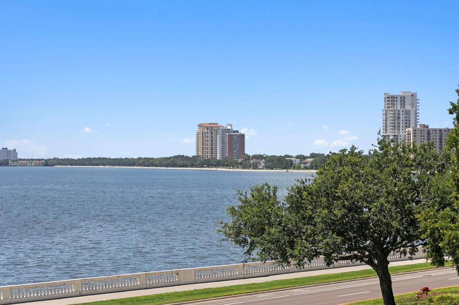 Image 46 of 54 For 2619 Bayshore Boulevard 200