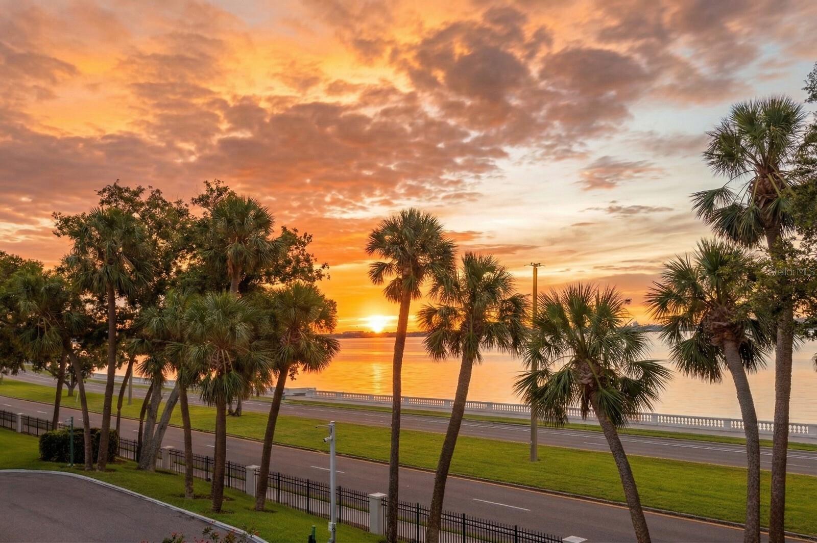 Image 48 of 54 For 2619 Bayshore Boulevard 200