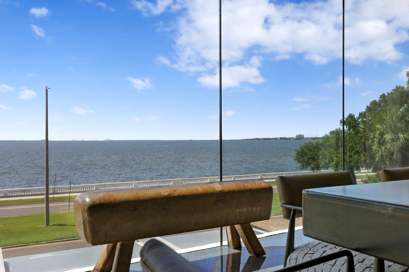 Image 6 of 54 For 2619 Bayshore Boulevard 200