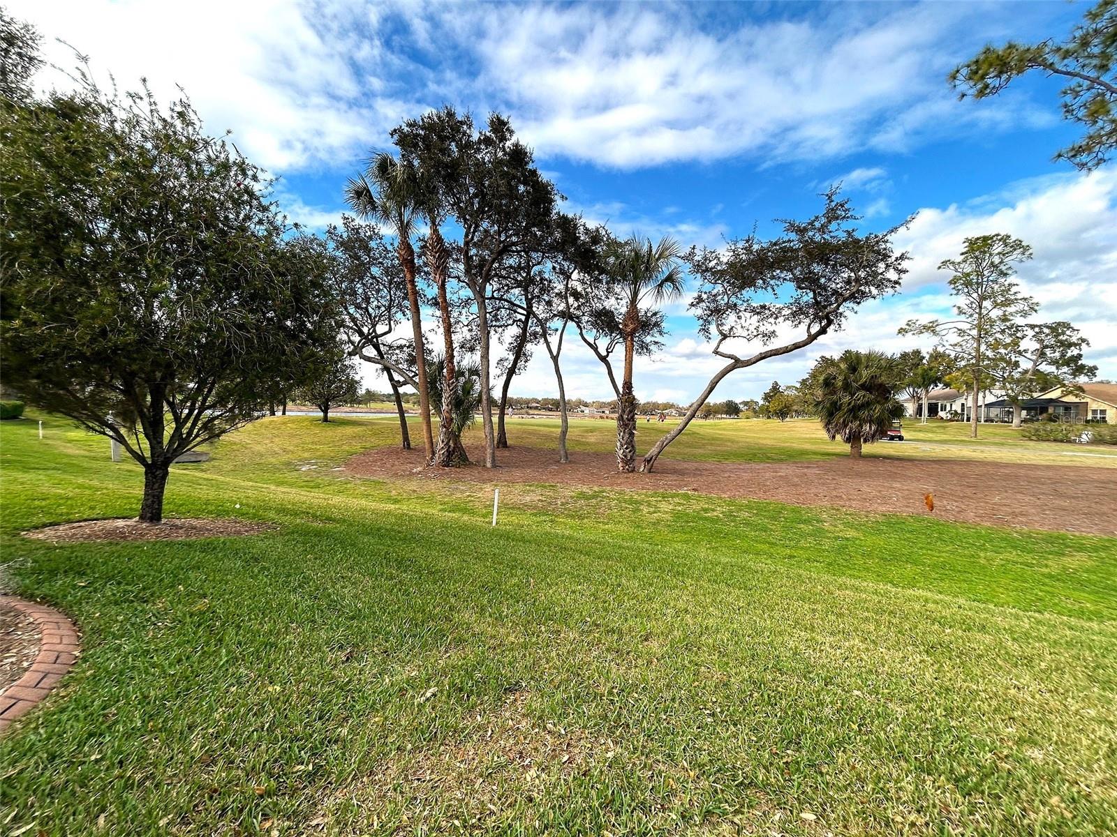 Image 31 of 49 For 11721 Scenic Hills Boulevard