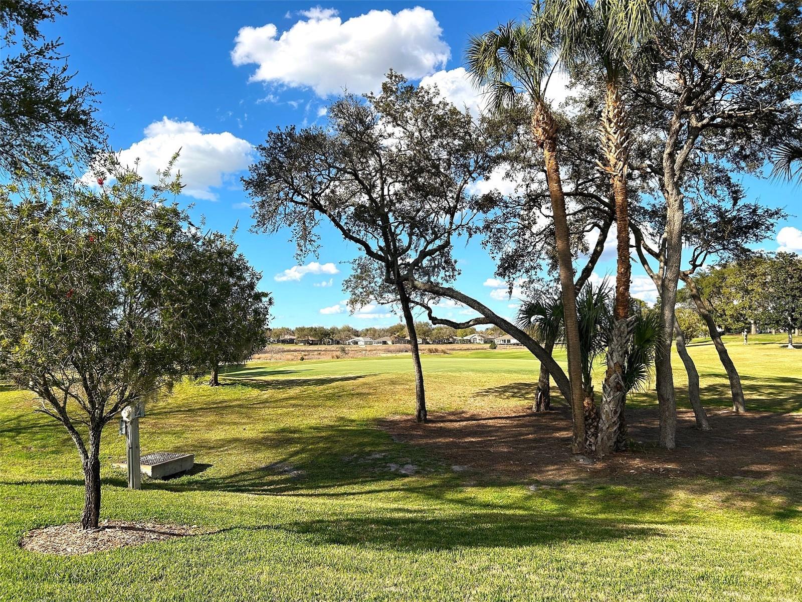 Image 33 of 49 For 11721 Scenic Hills Boulevard