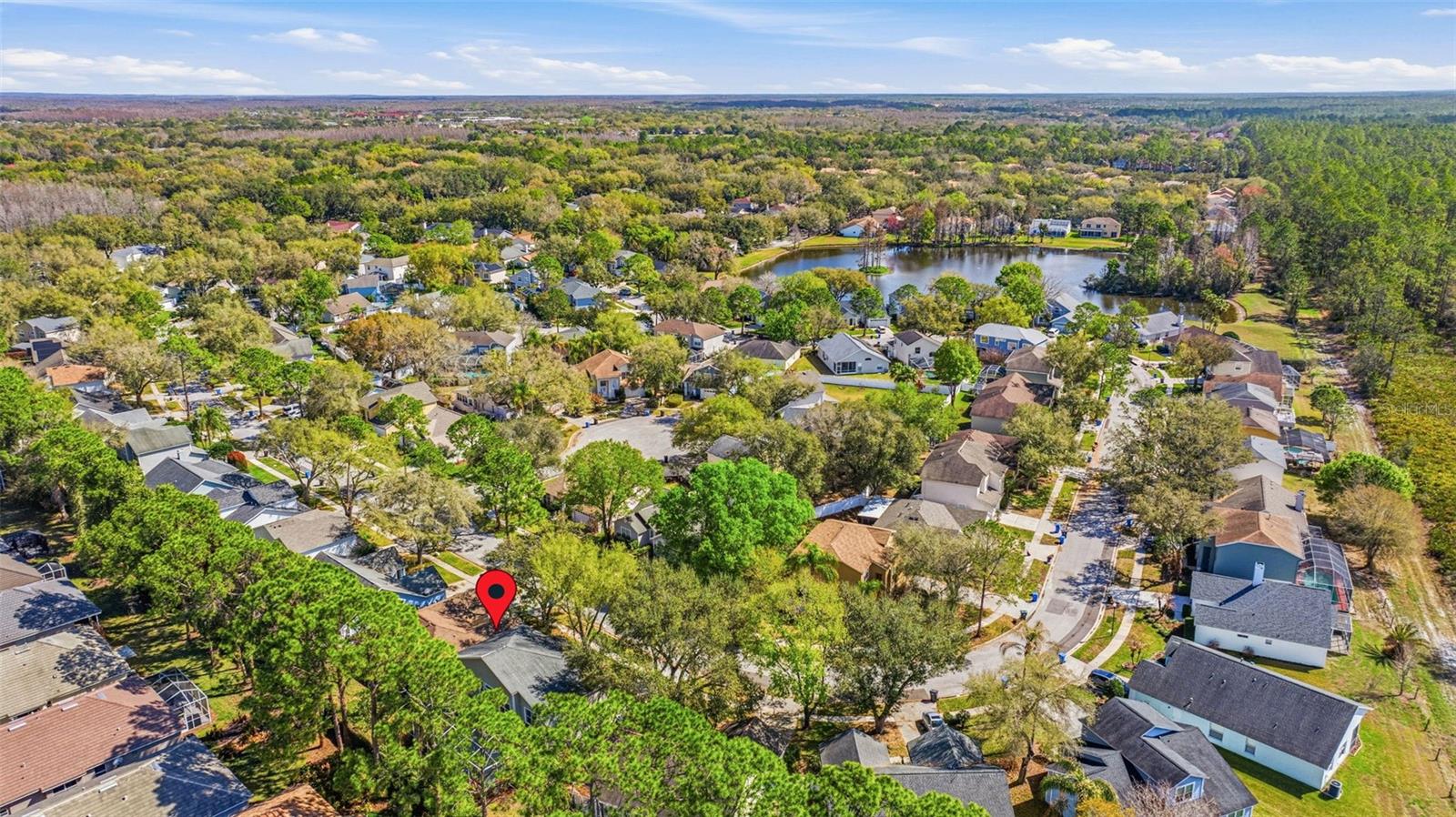 Listing photo id 31 for 17705 Esprit Drive